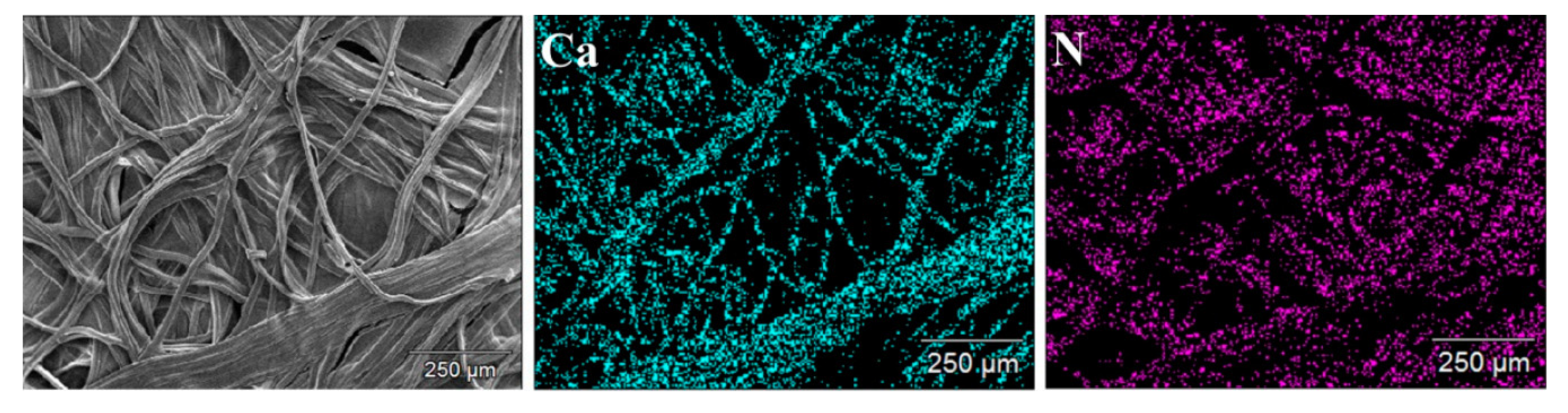 Polymers 12 00512 g009