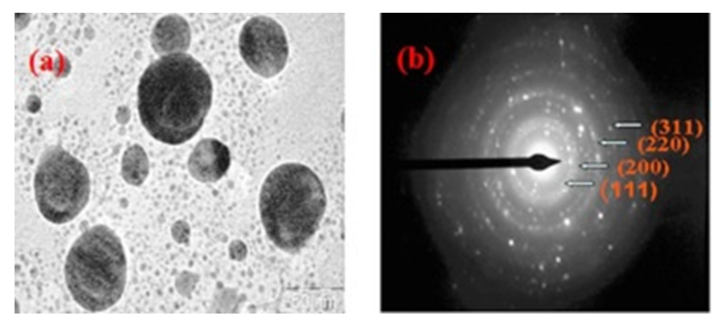 Polymers 12 00512 g012