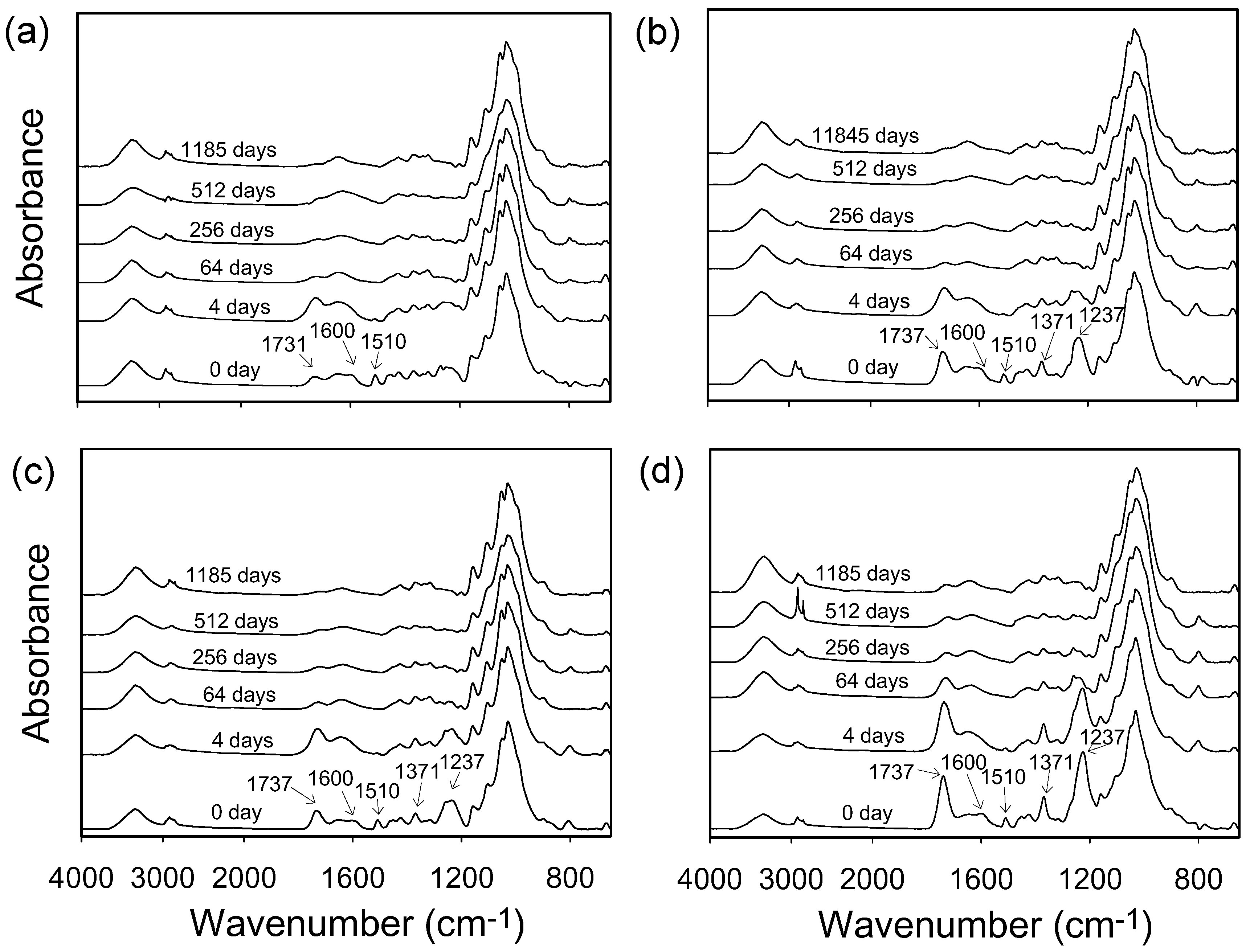 Polymers 12 00513 g004