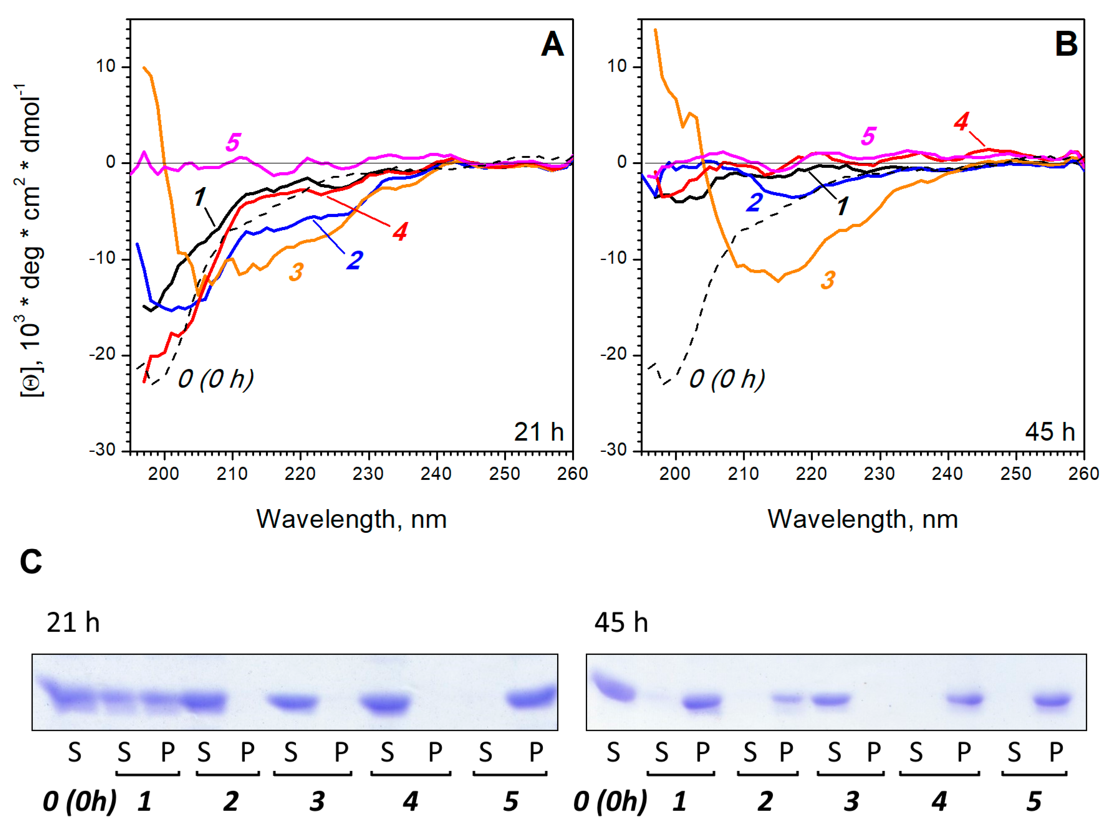 Polymers 12 00517 g003 Polymers 12 00517 g003