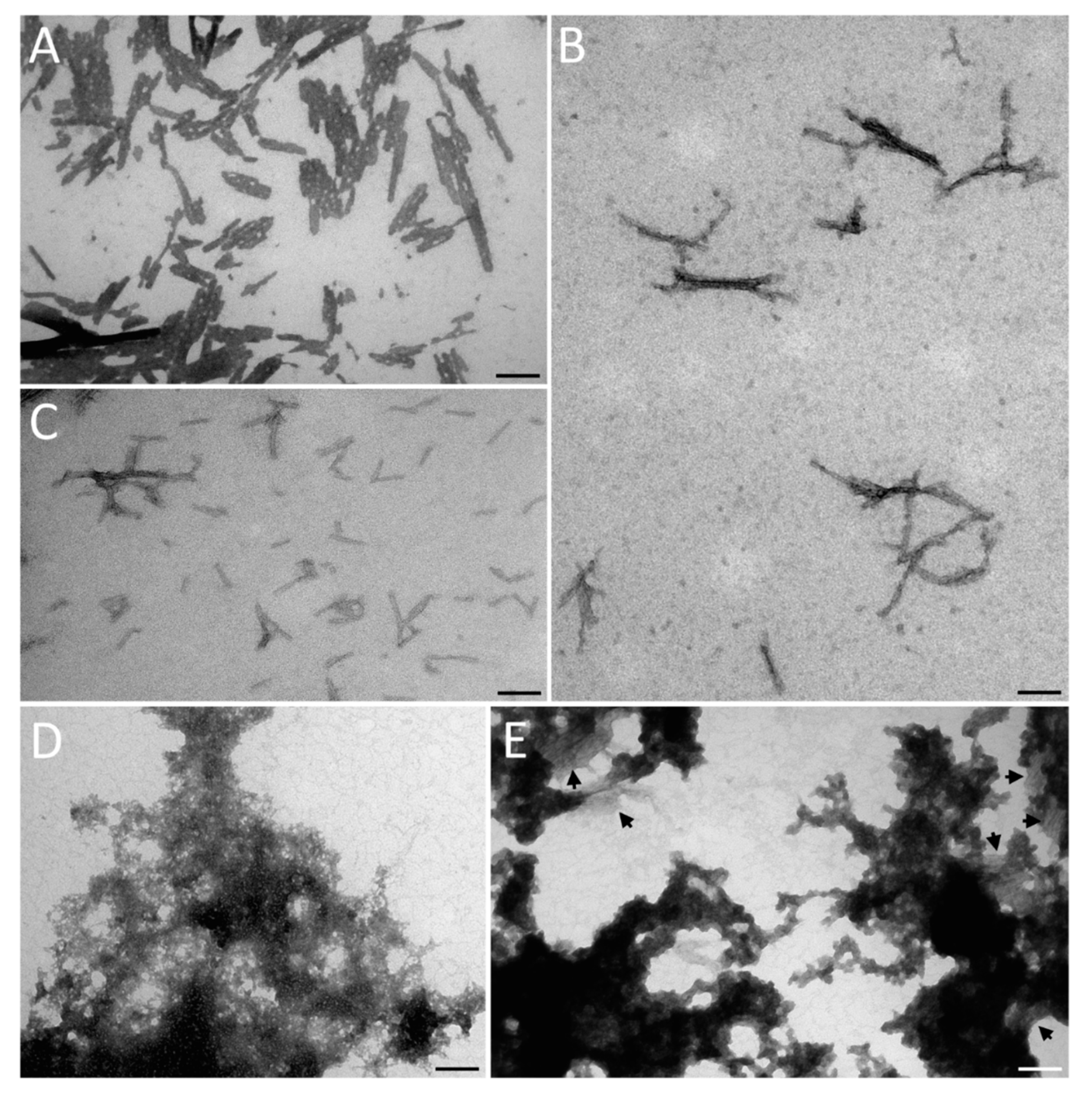 Polymers 12 00517 g004 Polymers 12 00517 g004