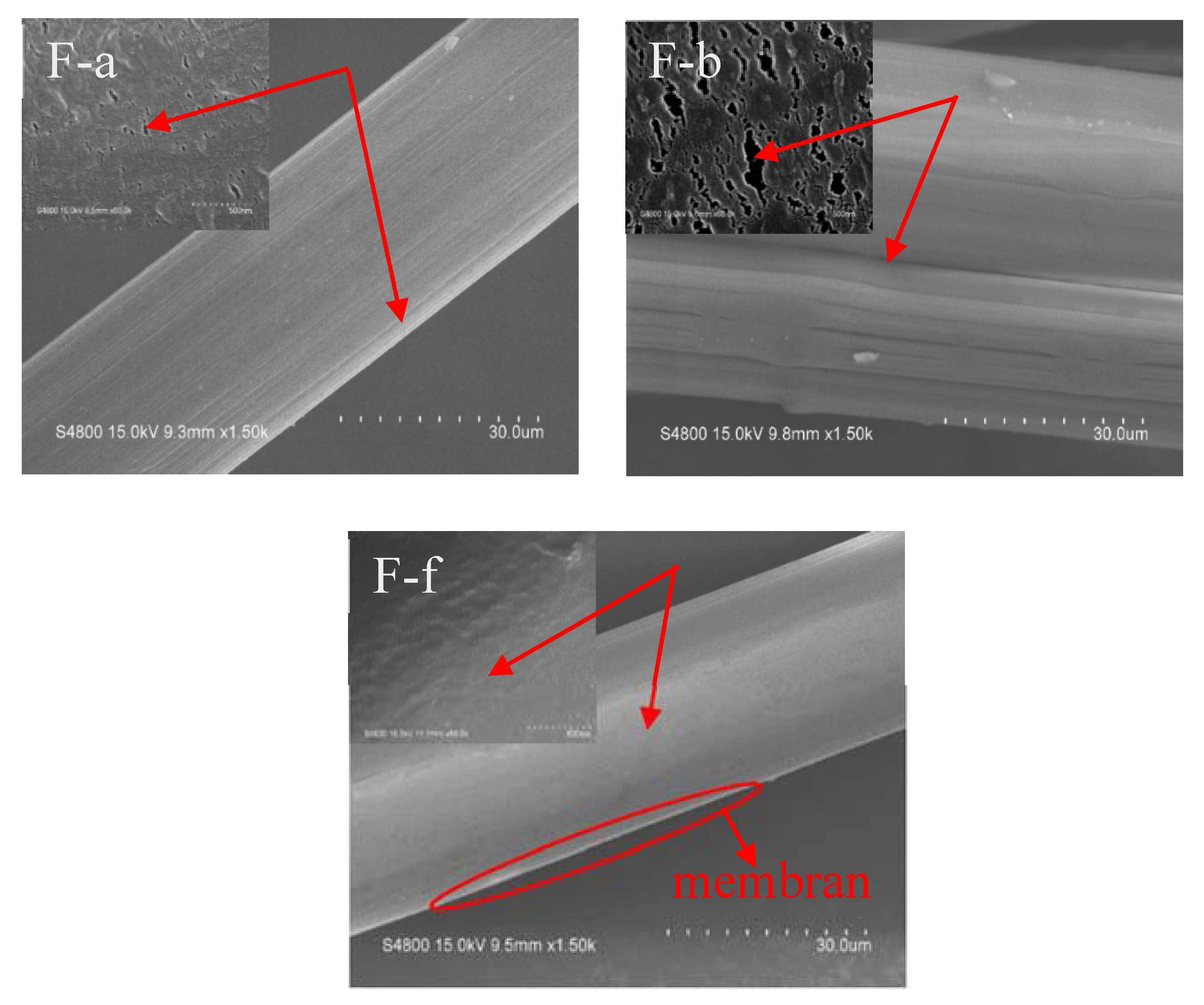 Polymers 12 00521 g007