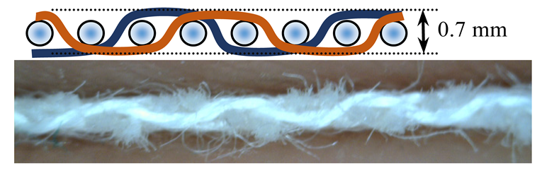 Polymers 12 00525 i004