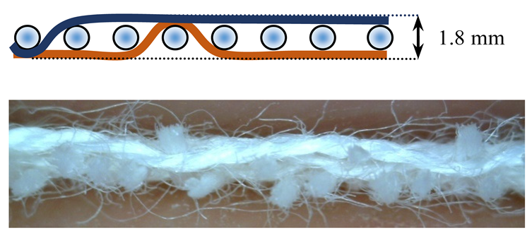 Polymers 12 00525 i006