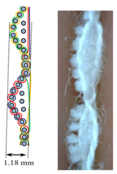 Polymers 12 00525 i012