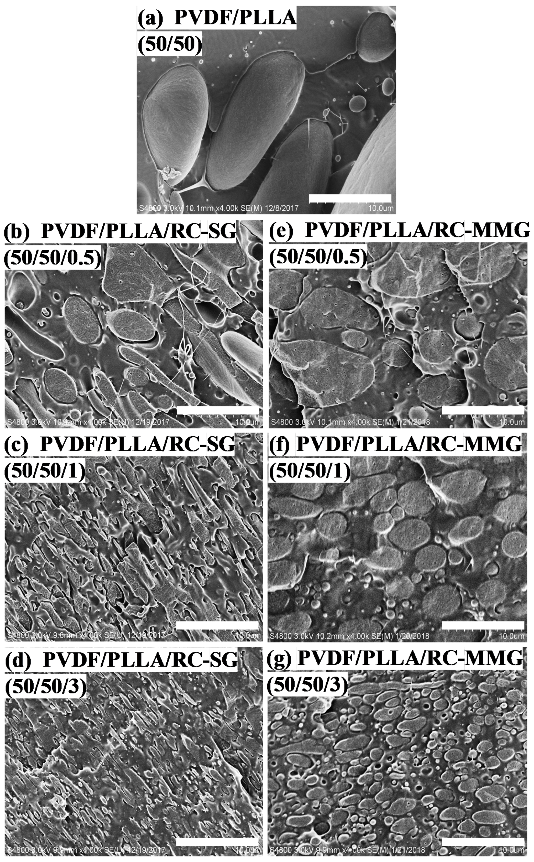 Polymers 12 00526 g001 550