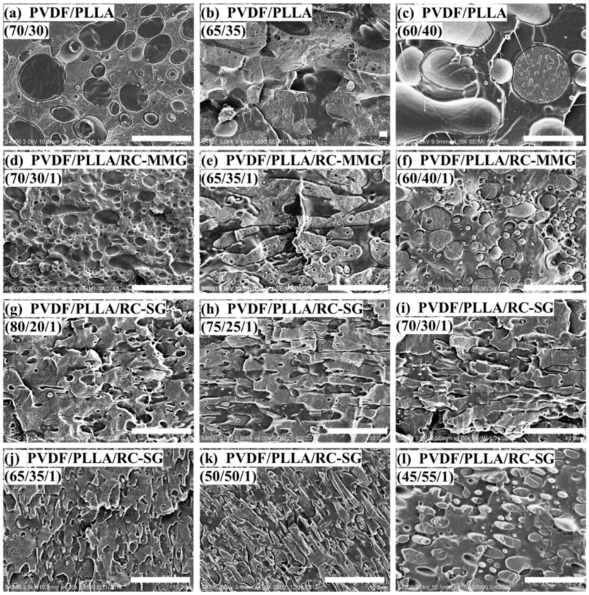 Polymers 12 00526 g002 550