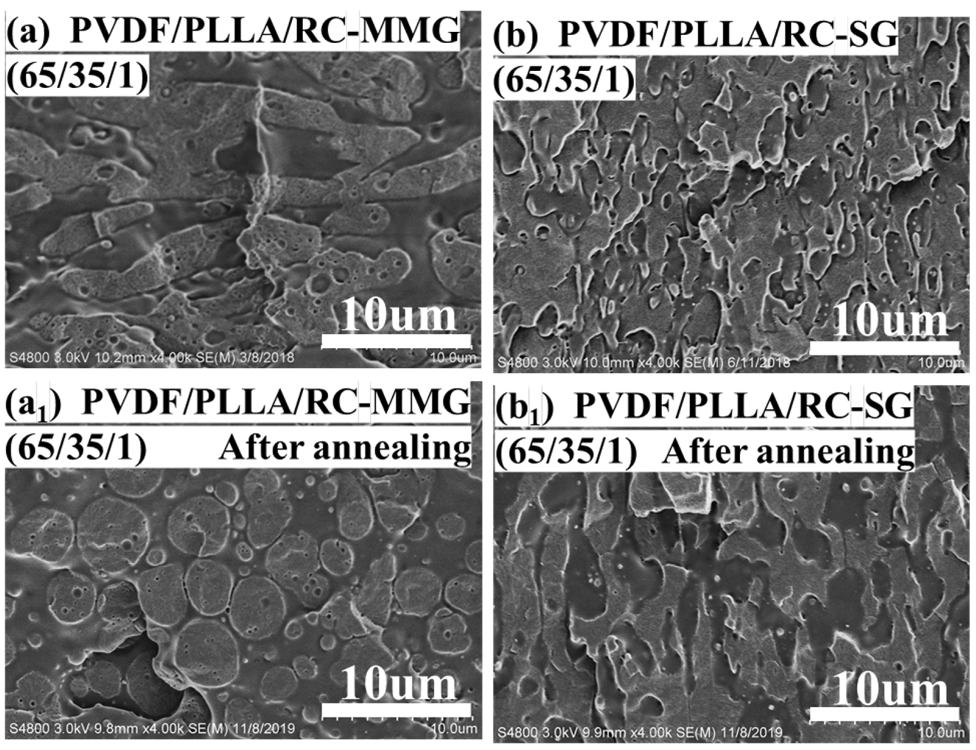 Polymers 12 00526 g004 550