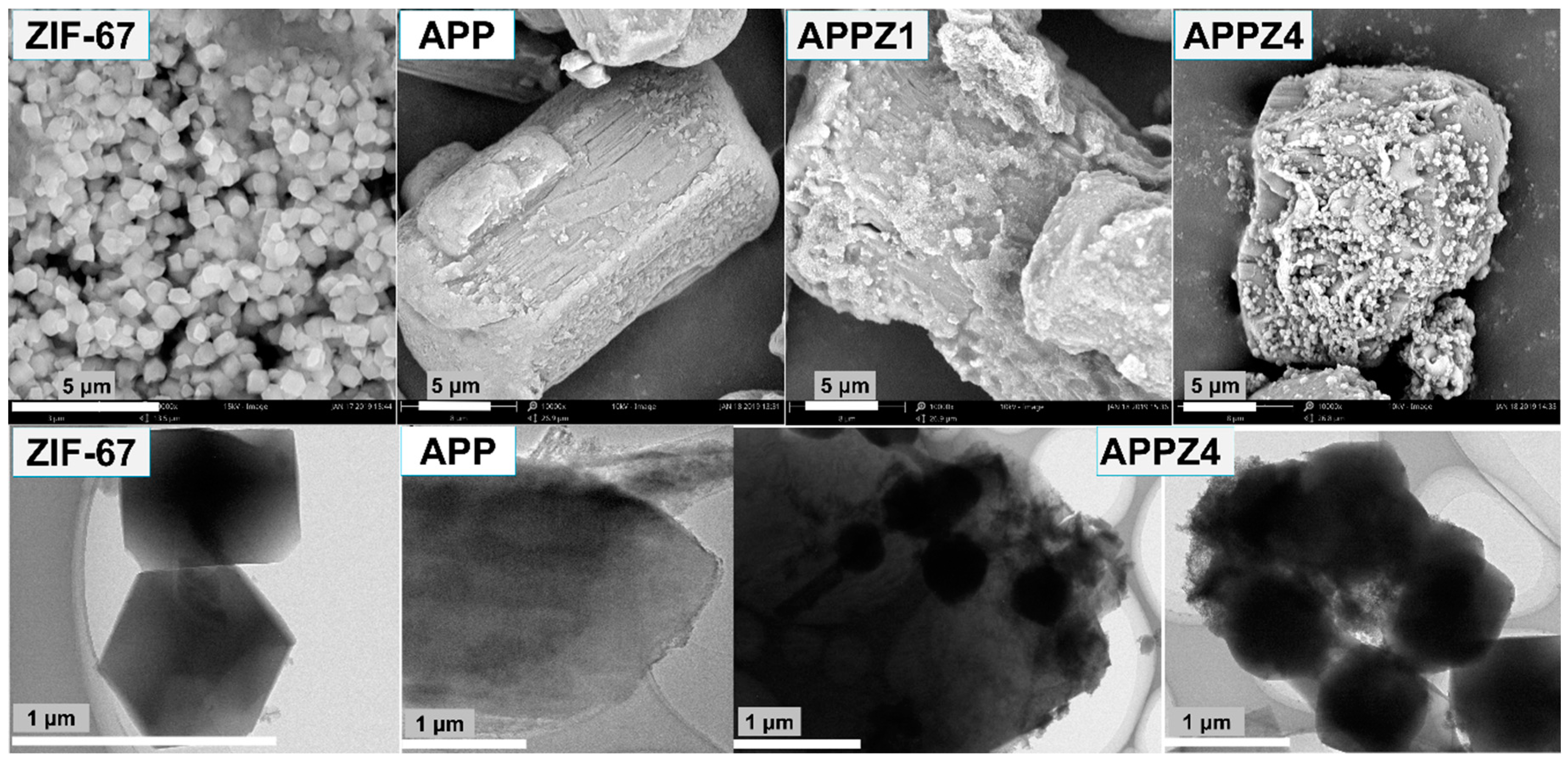 Polymers 12 00534 g003 Polymers 12 00534 g003