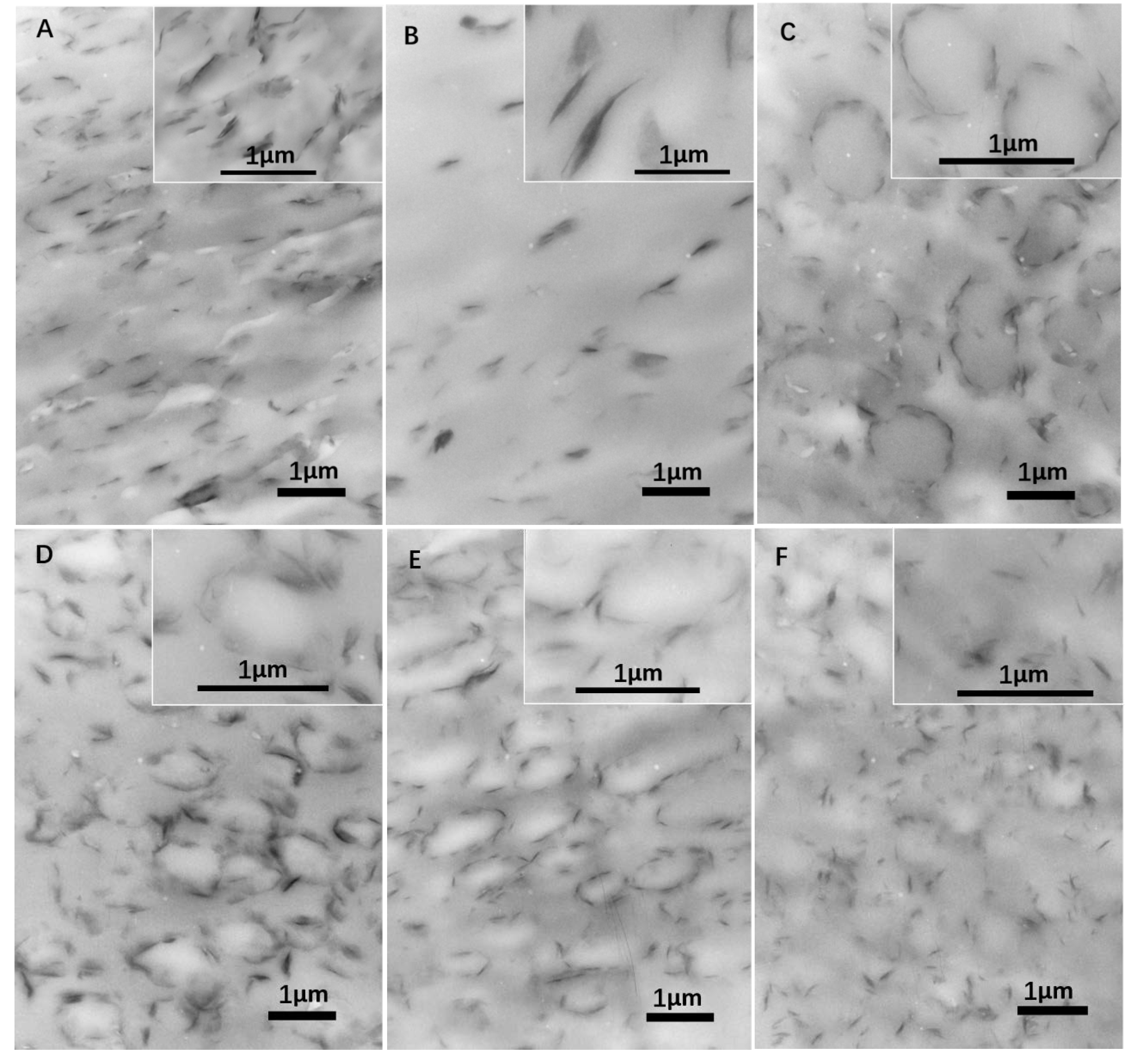 Polymers 12 00541 g006