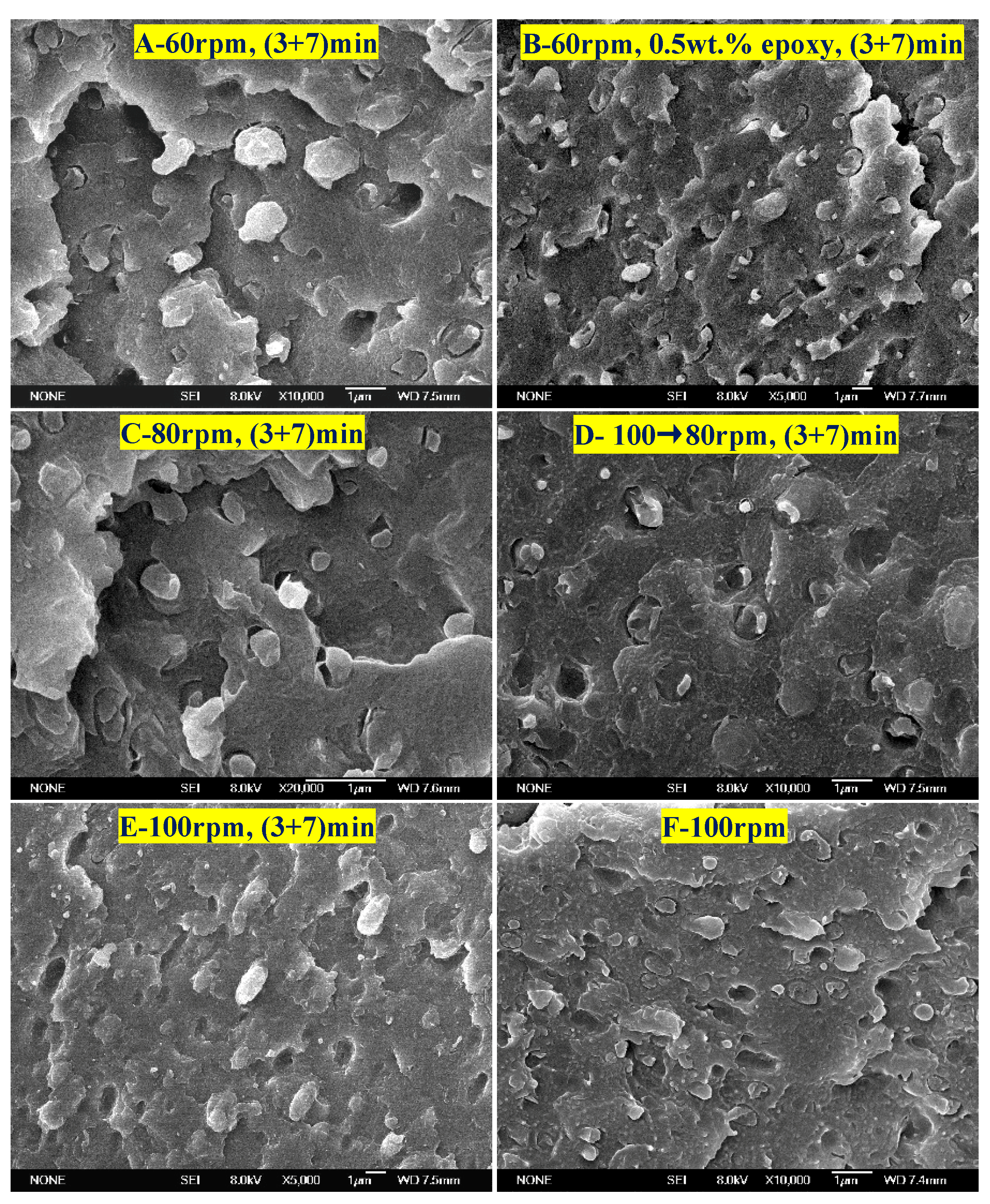 Polymers 12 00541 g008