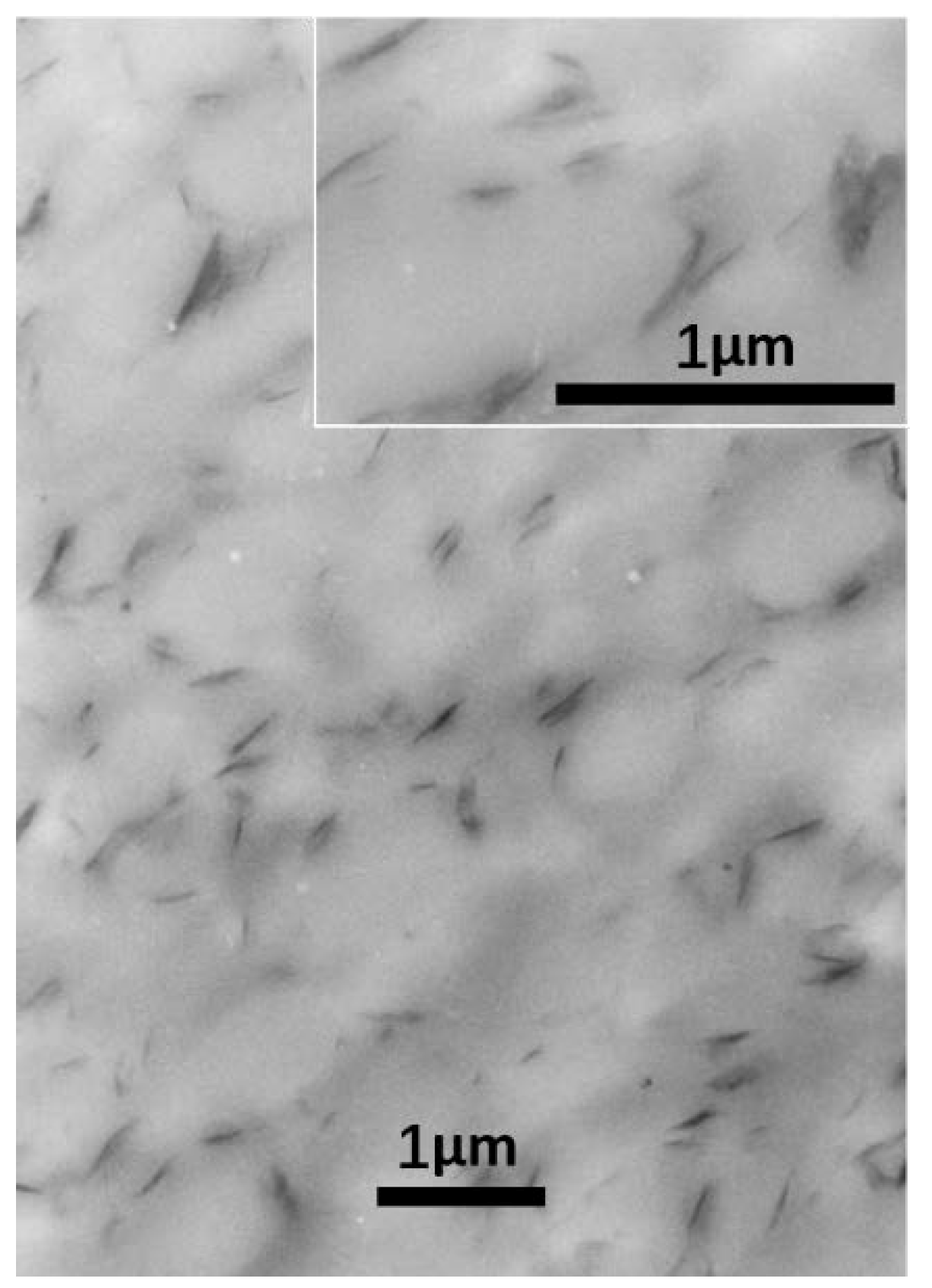 Polymers 12 00541 g009