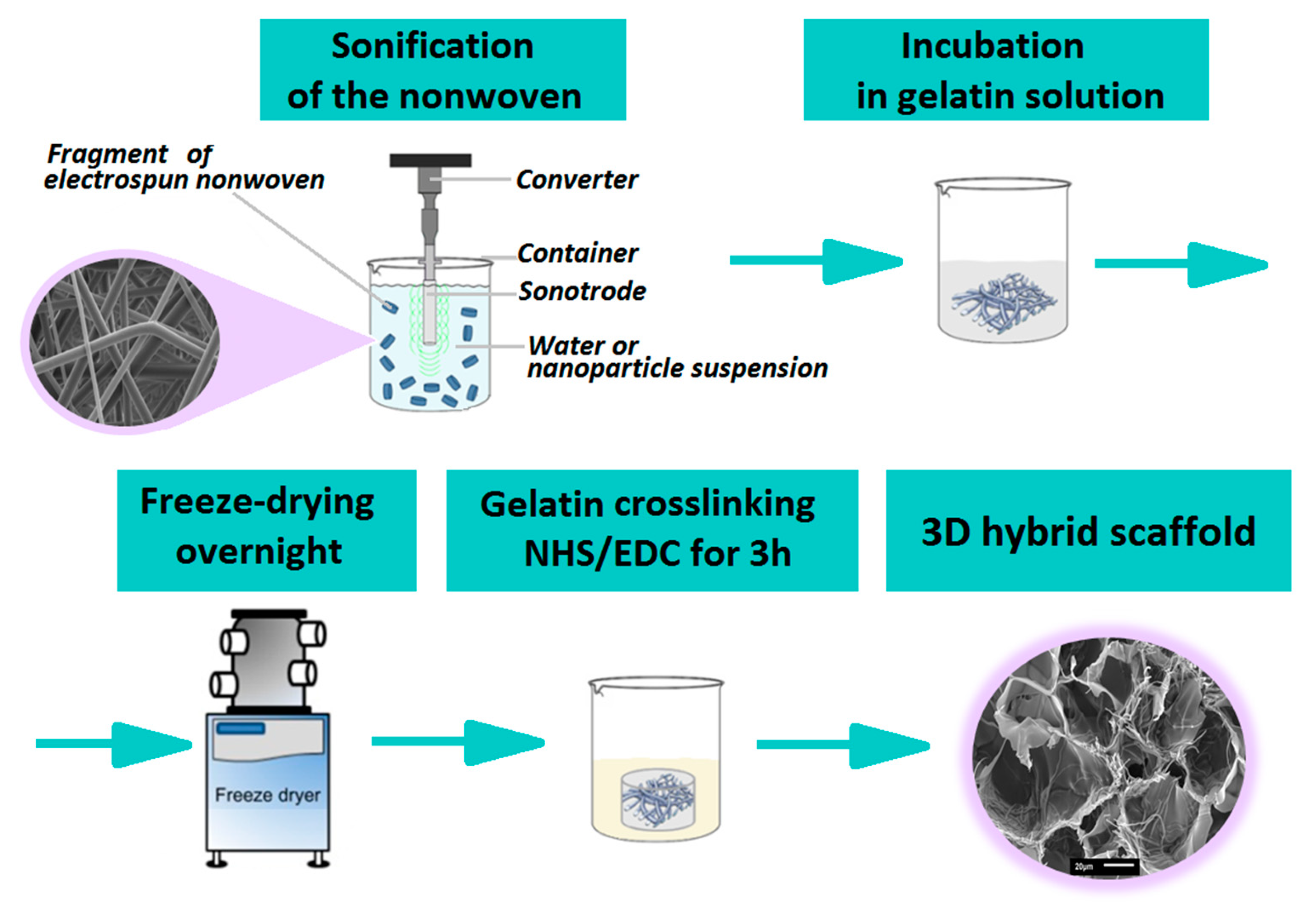 Polymers 12 00544 g001