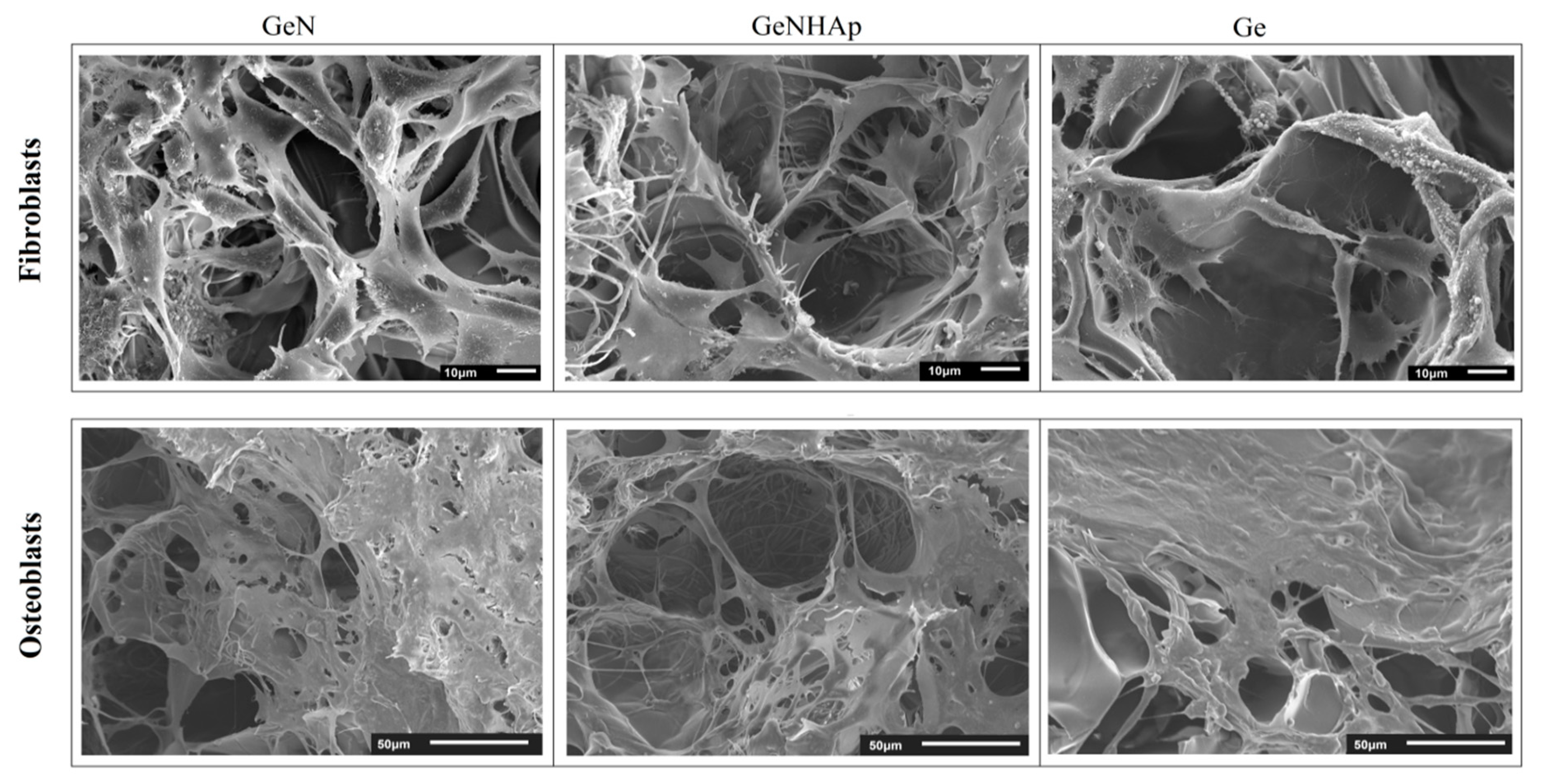 Polymers 12 00544 g012