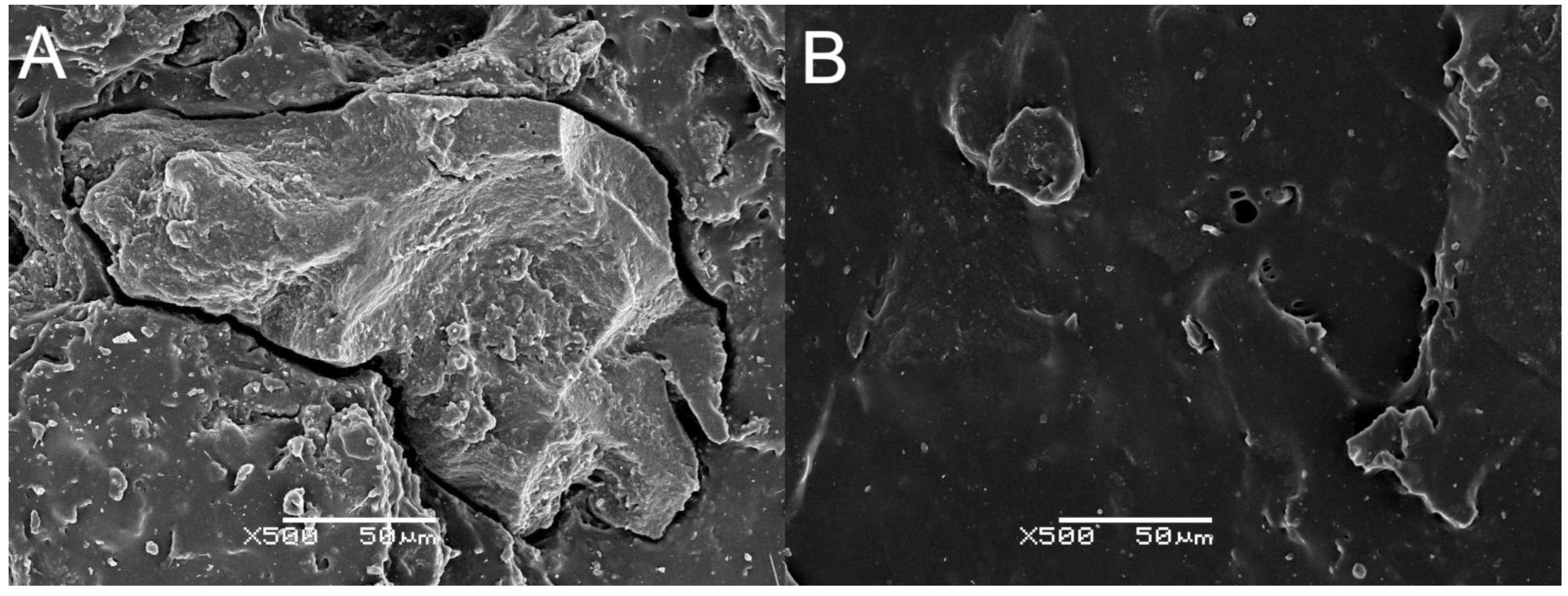 Polymers 12 00545 g007 Polymers 12 00545 g007