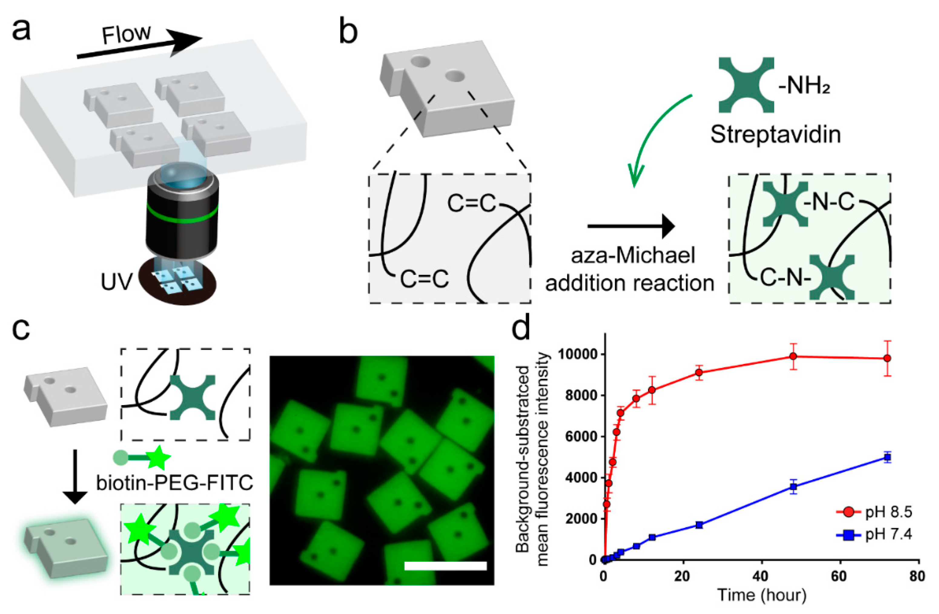 Polymers 12 00546 g001 Polymers 12 00546 g001