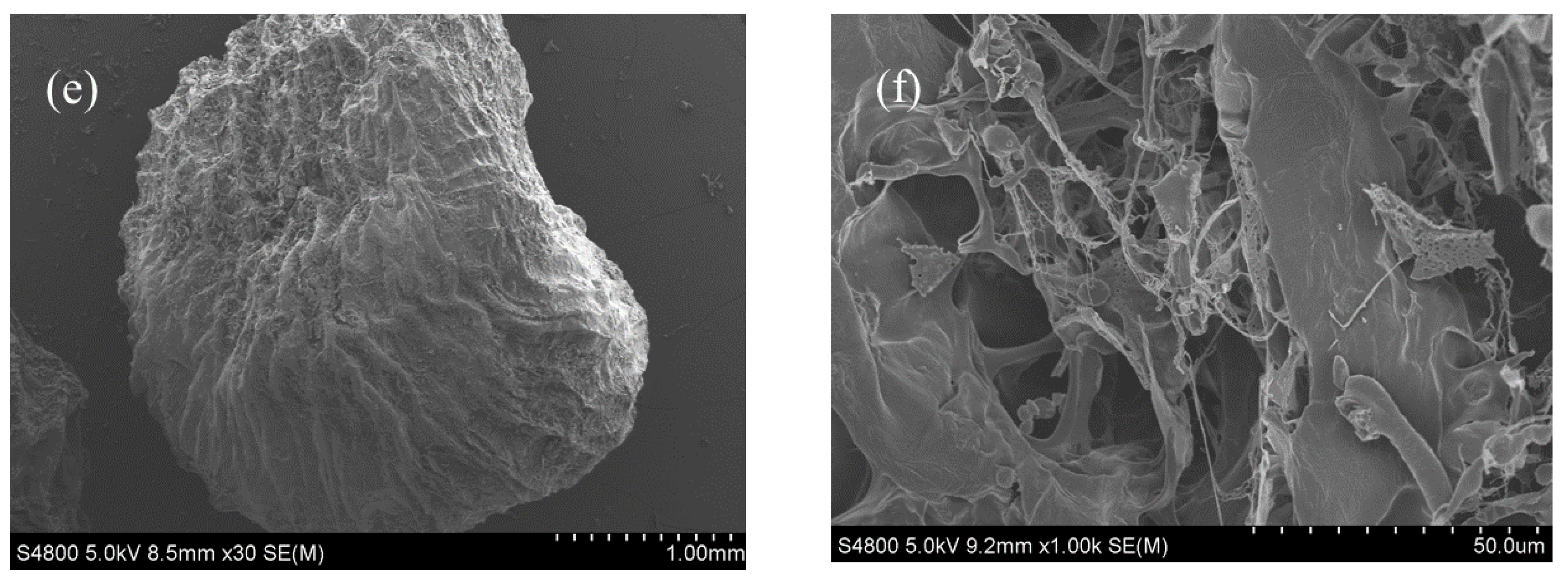 Polymers 12 00547 g004b Polymers 12 00547 g004b