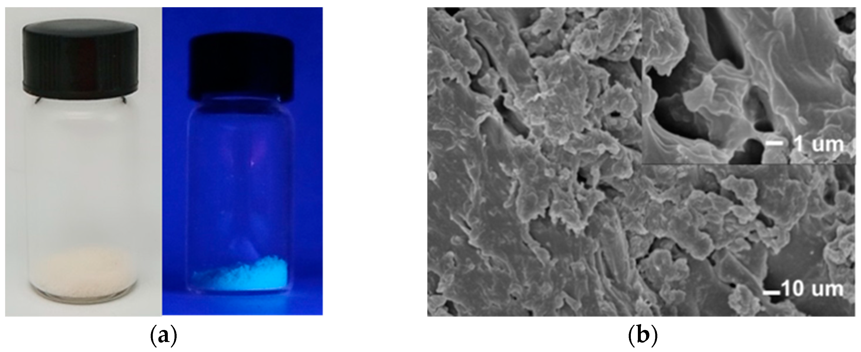 Polymers 12 00551 g001 Polymers 12 00551 g001