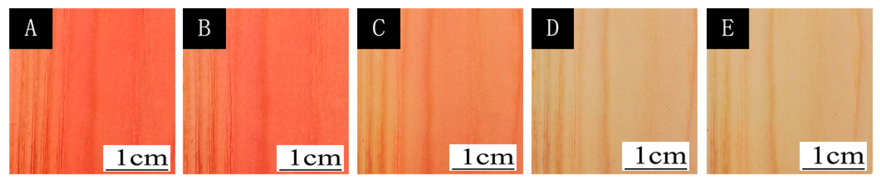 Polymers 12 00552 g003 Polymers 12 00552 g003