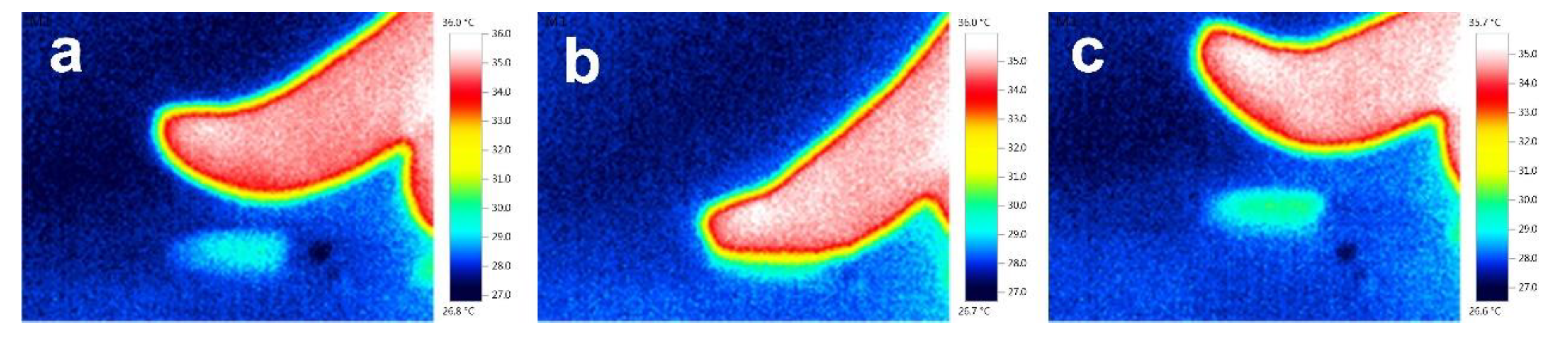 Polymers 12 00553 g007