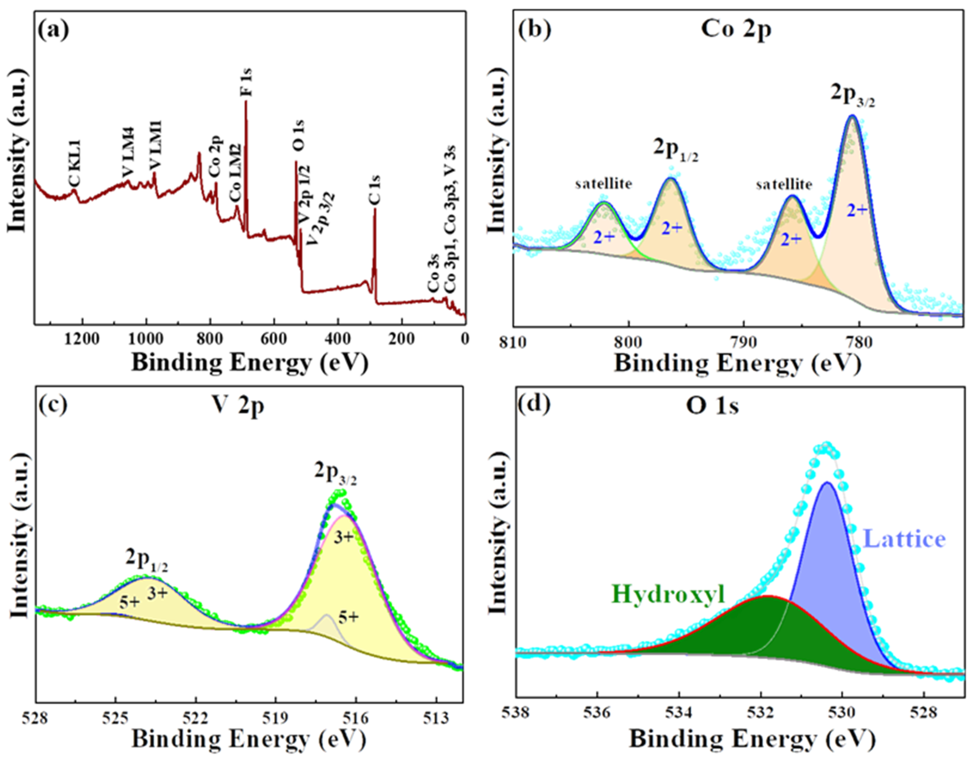 Polymers 12 00555 g003