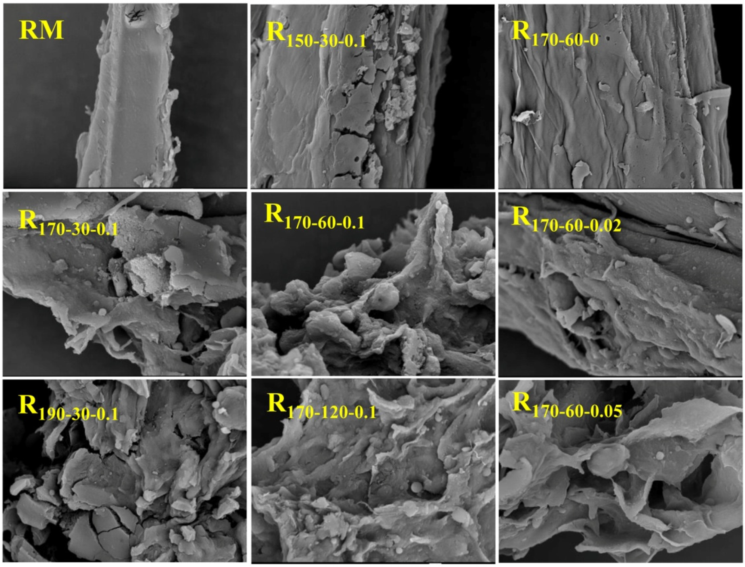 Polymers 12 00557 g003 Polymers 12 00557 g003
