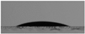 Polymers 12 00565 i015