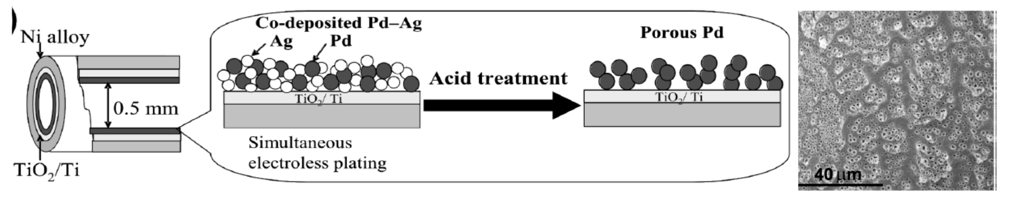 Polymers 12 00572 g013 Polymers 12 00572 g013
