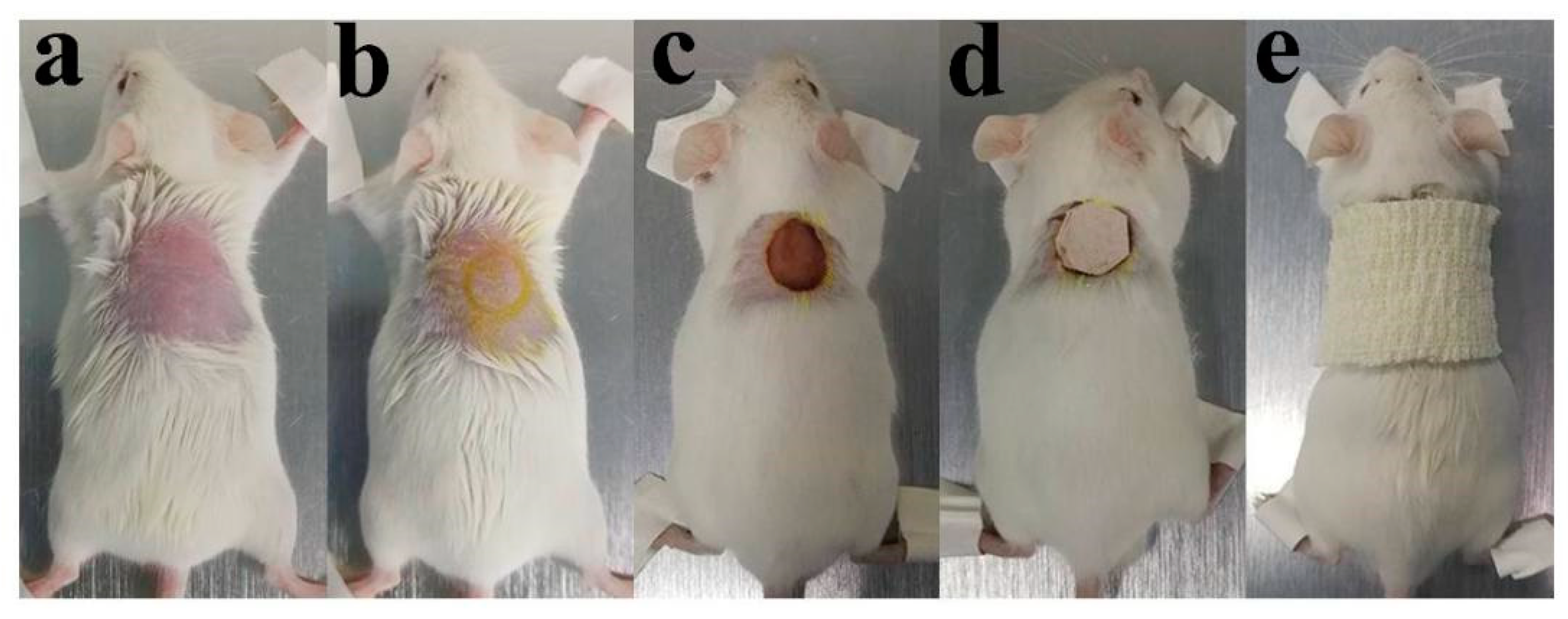 Polymers 12 00573 g002 Polymers 12 00573 g002