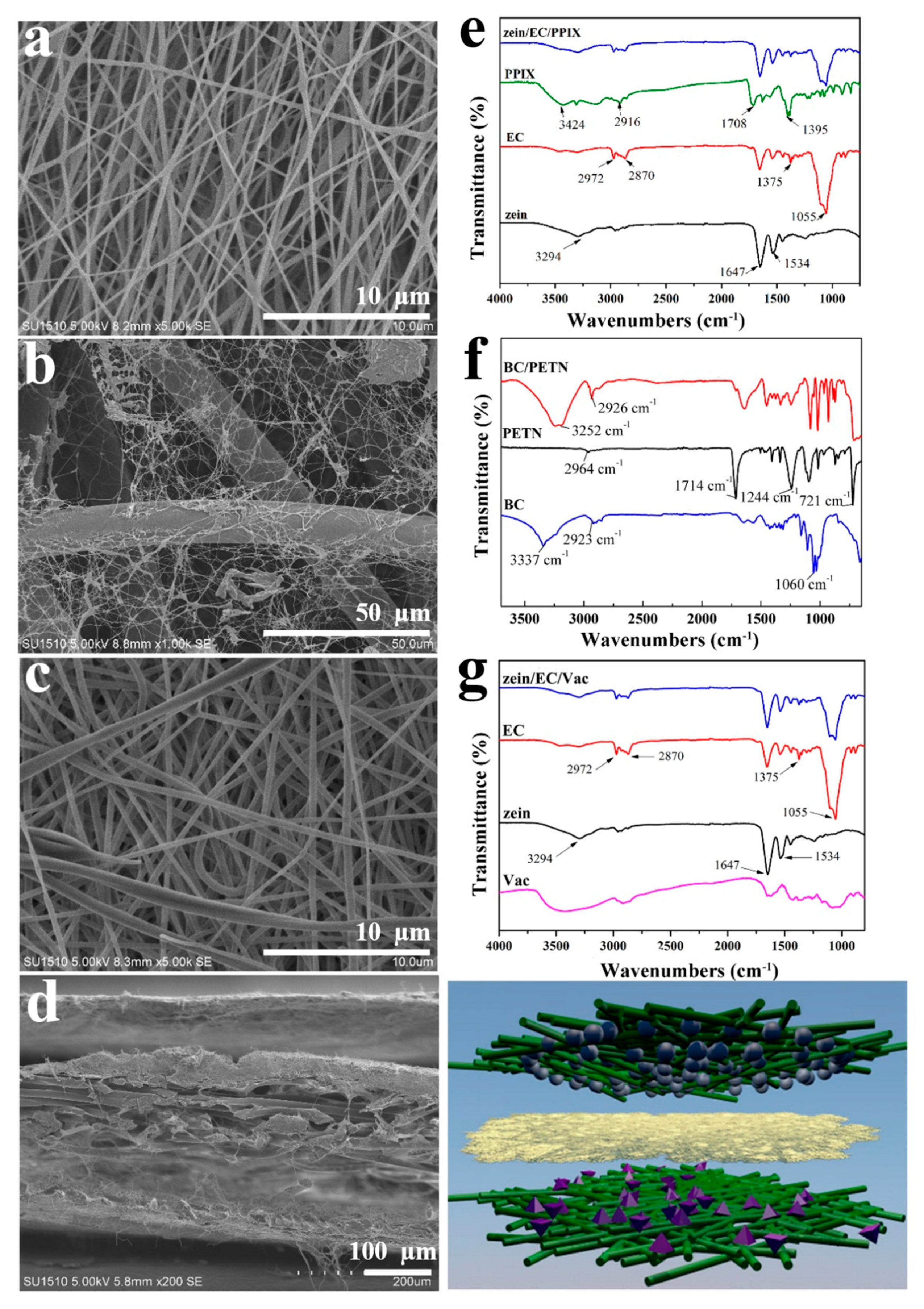 Polymers 12 00573 g003 Polymers 12 00573 g003