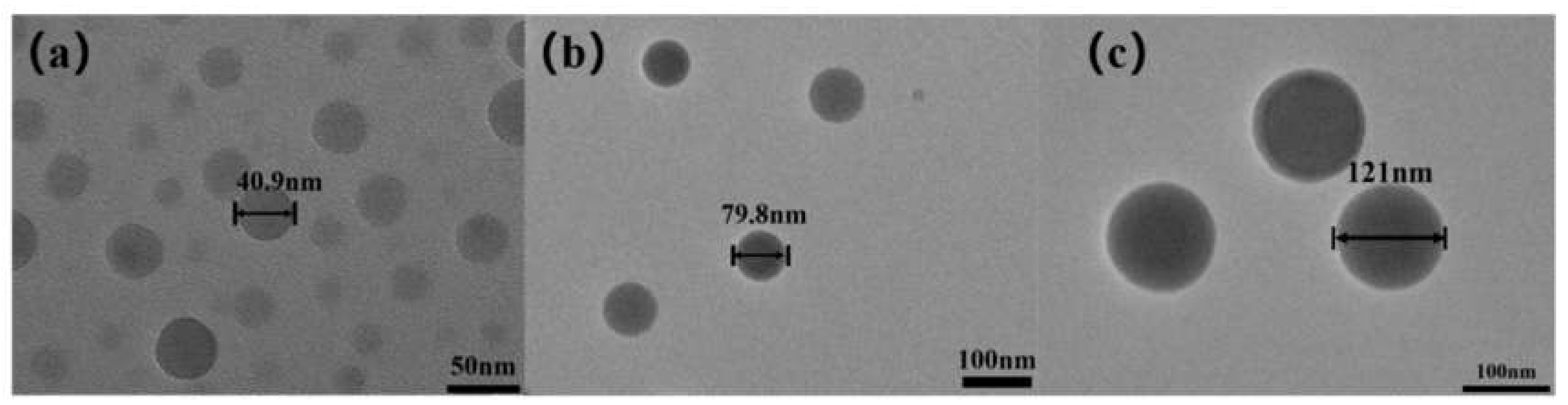 Polymers 12 00574 g001