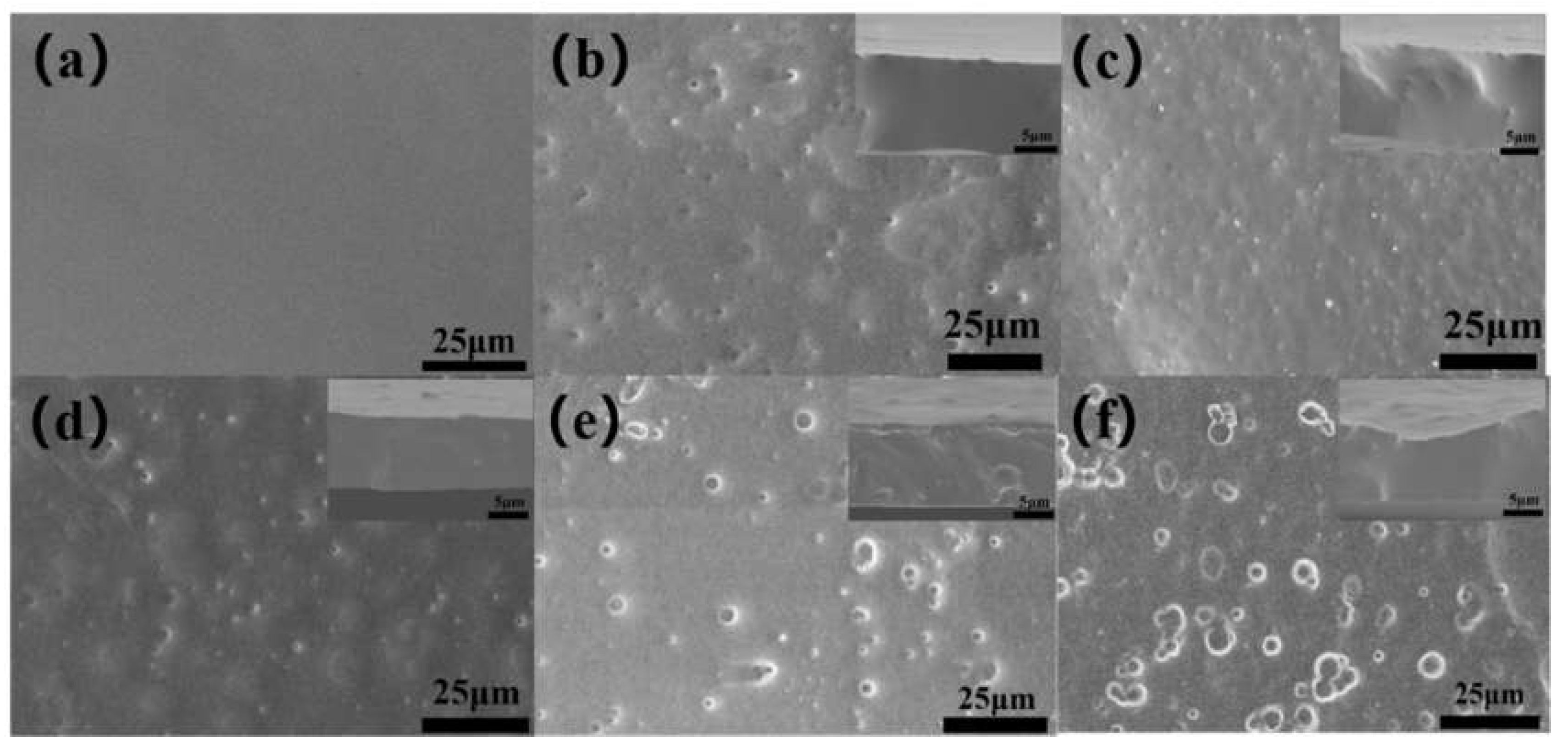 Polymers 12 00574 g003