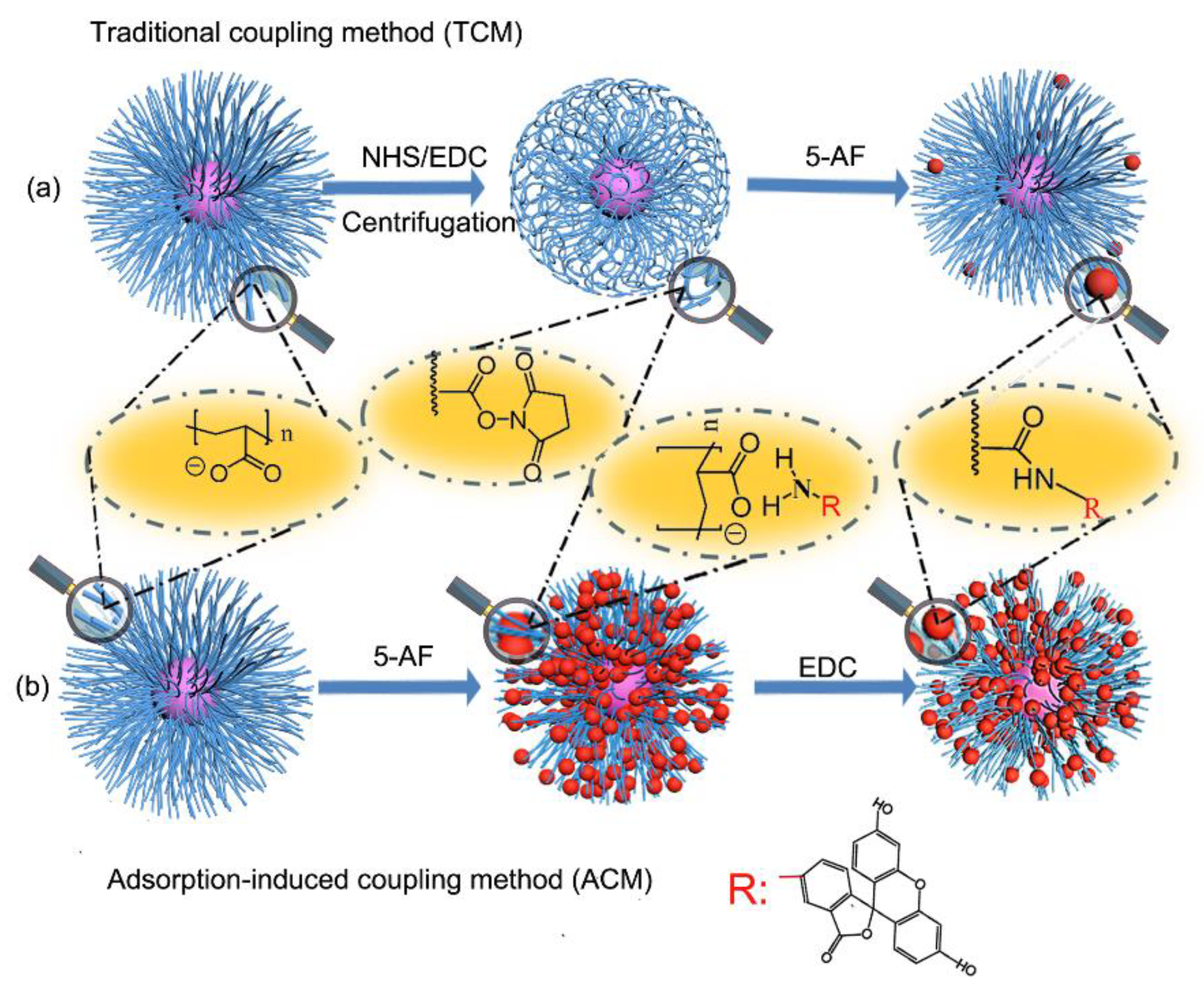 Polymers 12 00577 sch001