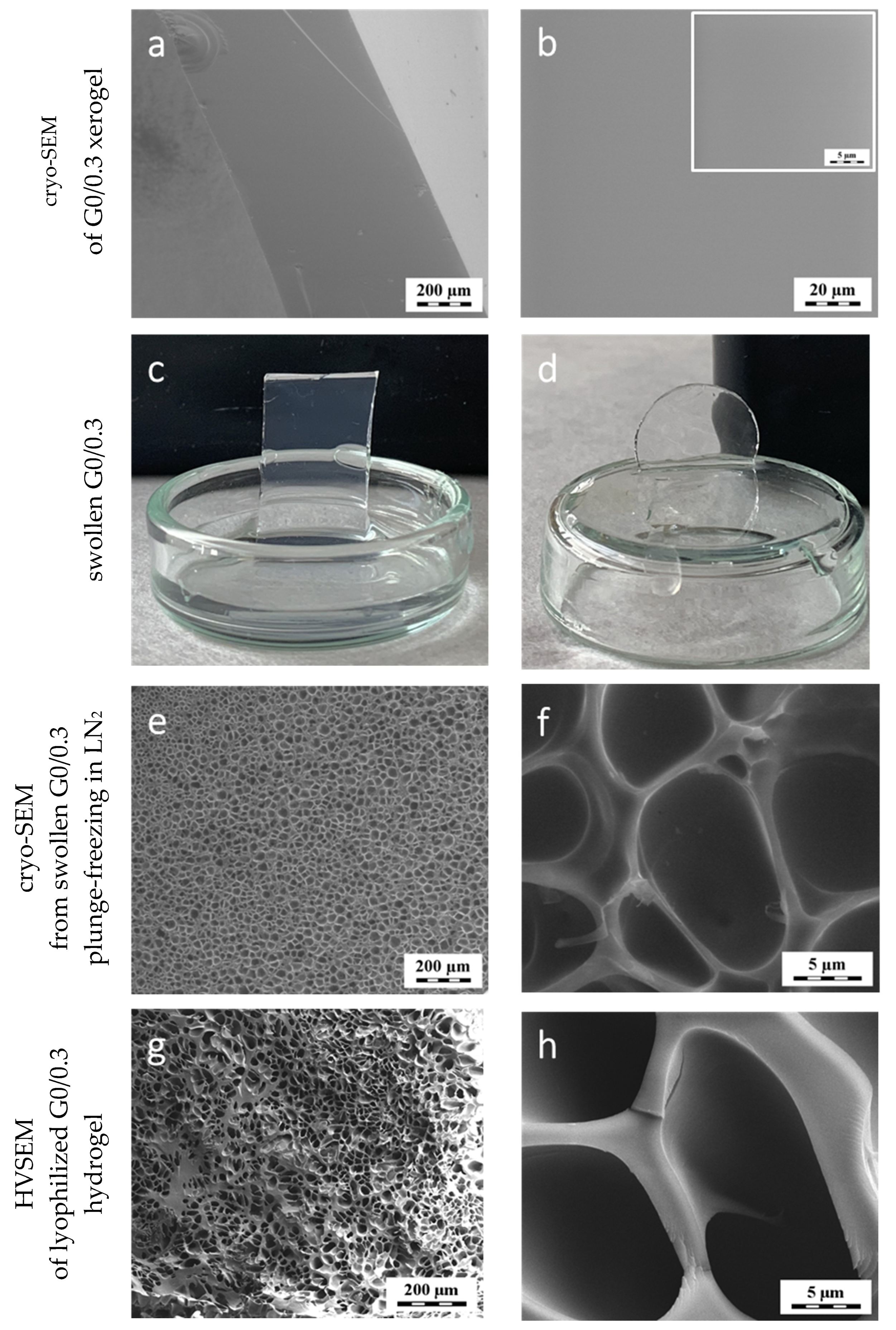 Polymers 12 00578 g001 Polymers 12 00578 g001