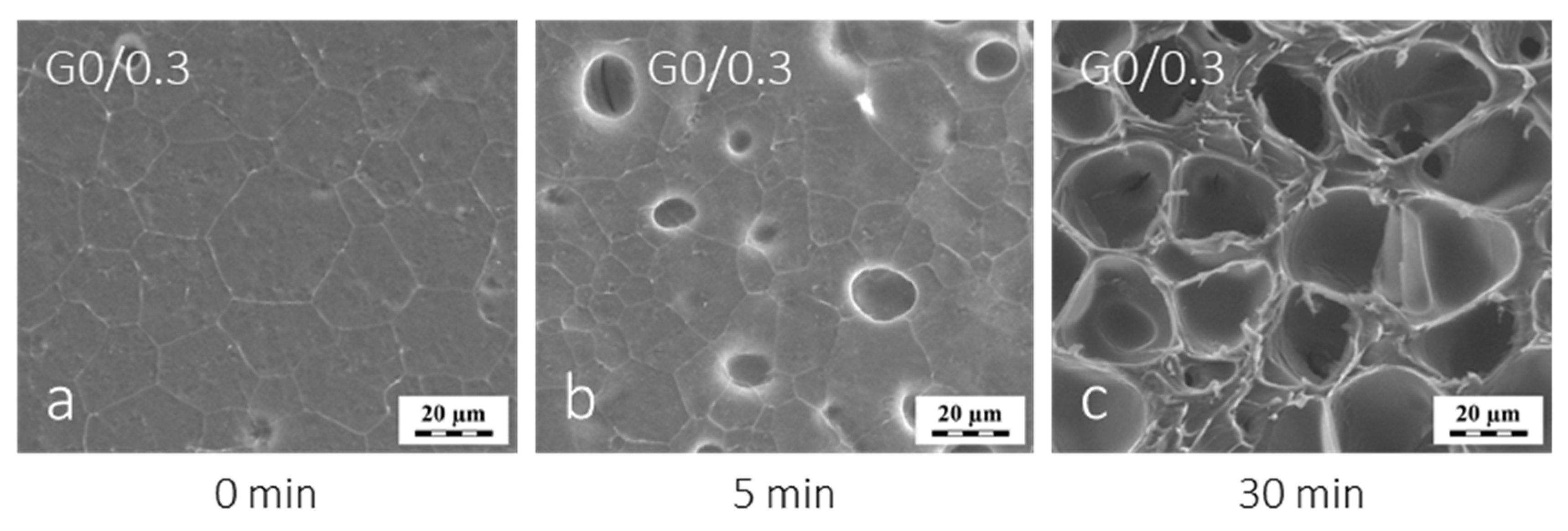 Polymers 12 00578 g003 Polymers 12 00578 g003