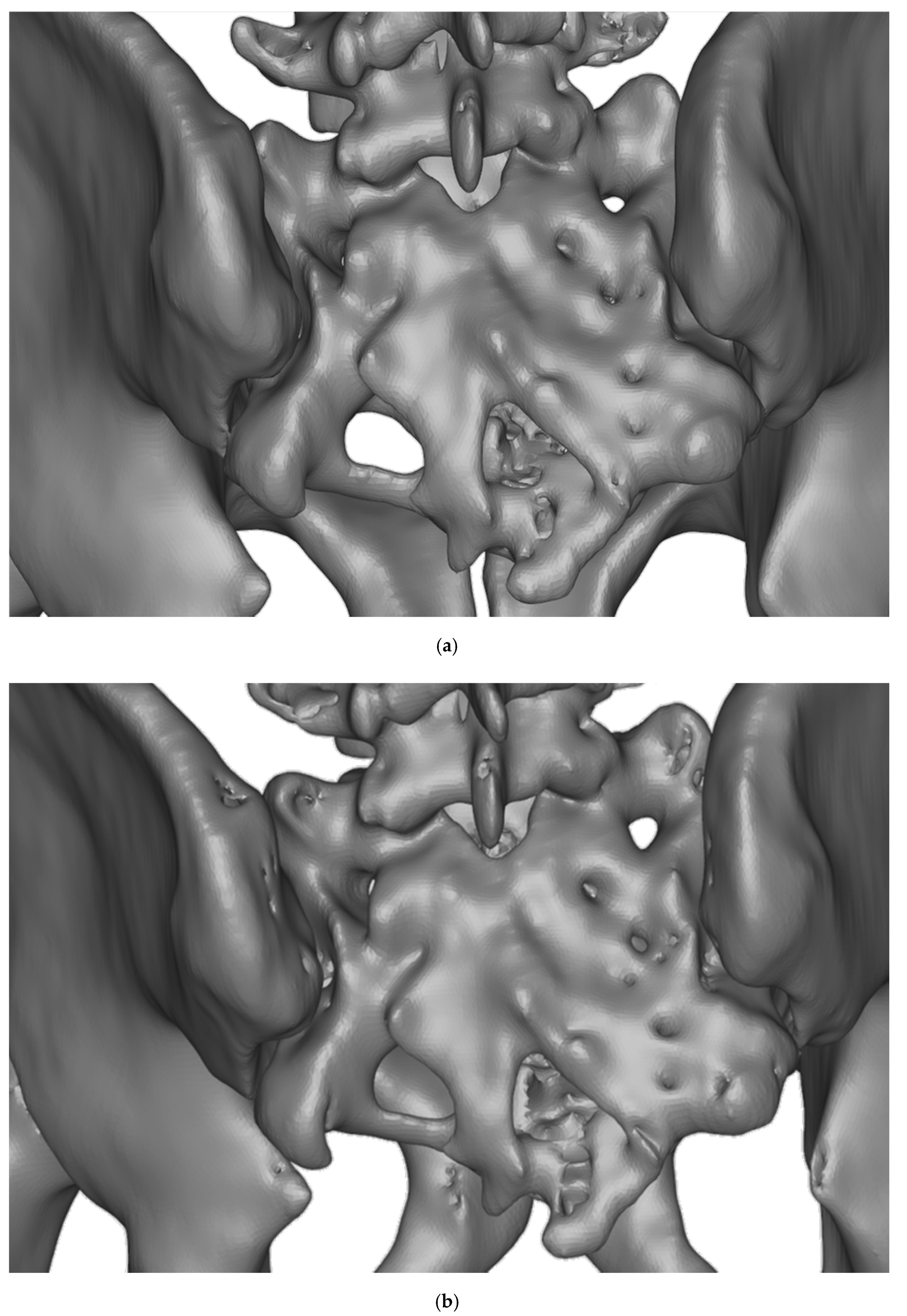Polymers 12 00581 g002