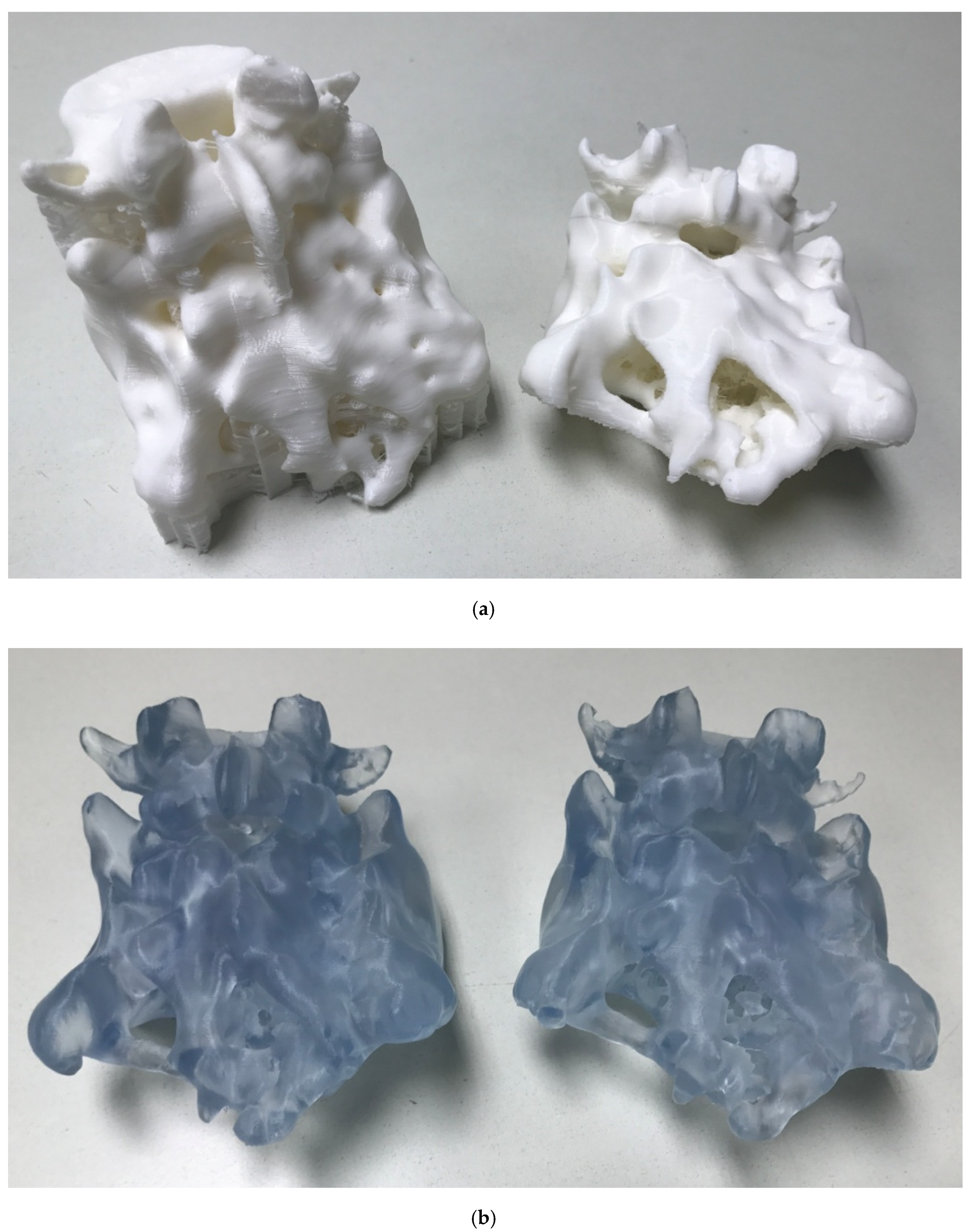 Polymers 12 00581 g004