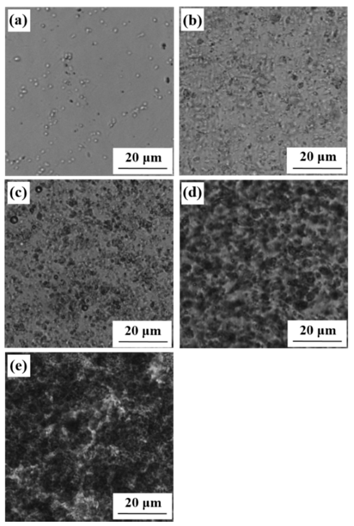 Polymers 12 00584 g003