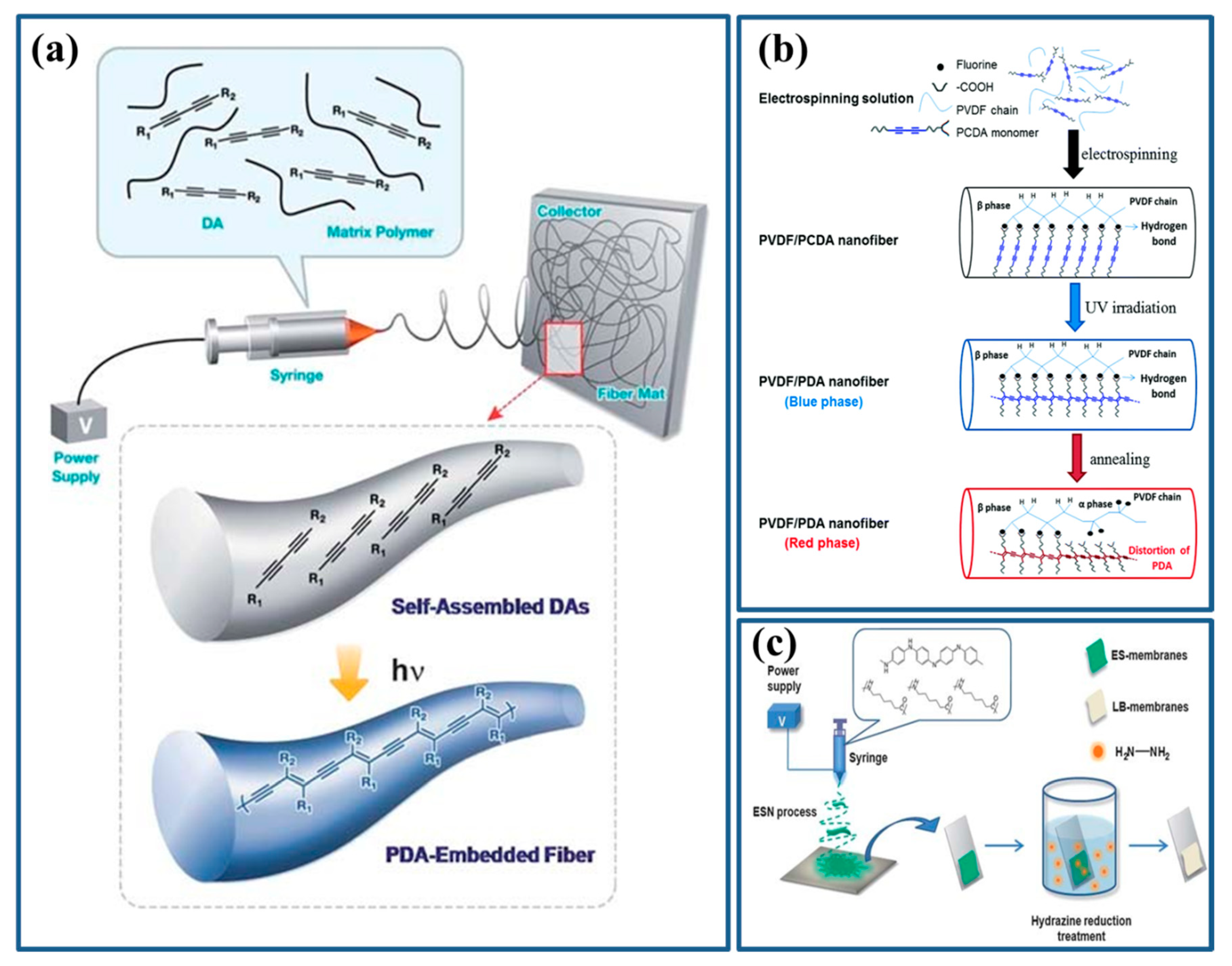 Polymers 12 00587 g002 Polymers 12 00587 g002
