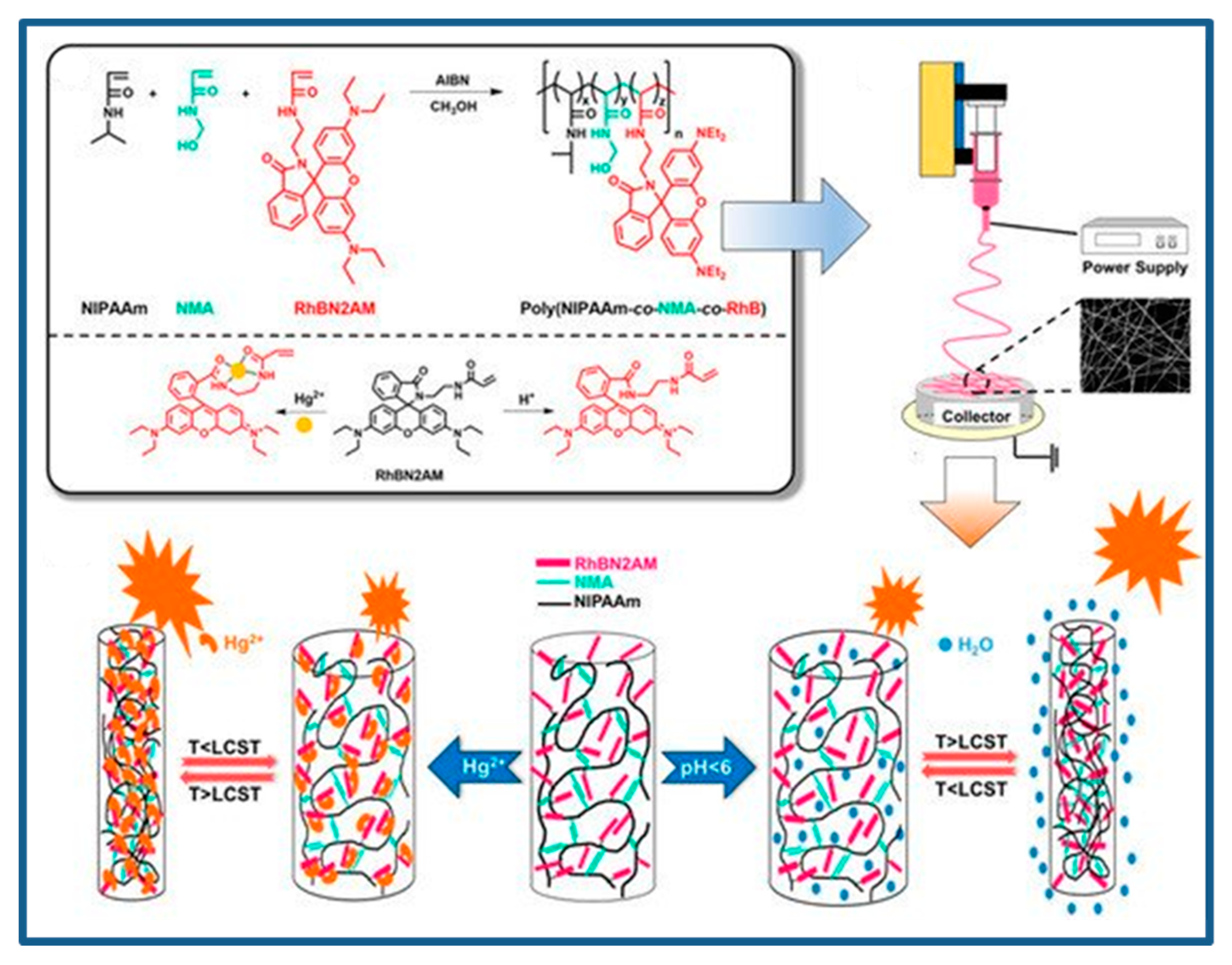 Polymers 12 00587 g005 Polymers 12 00587 g005