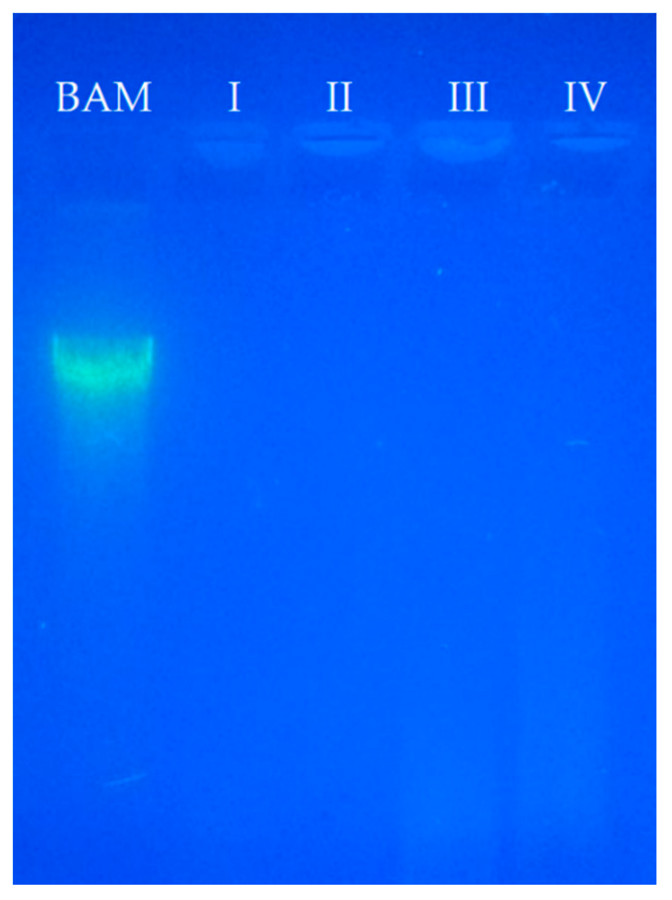 Polymers 12 00590 g001 Polymers 12 00590 g001