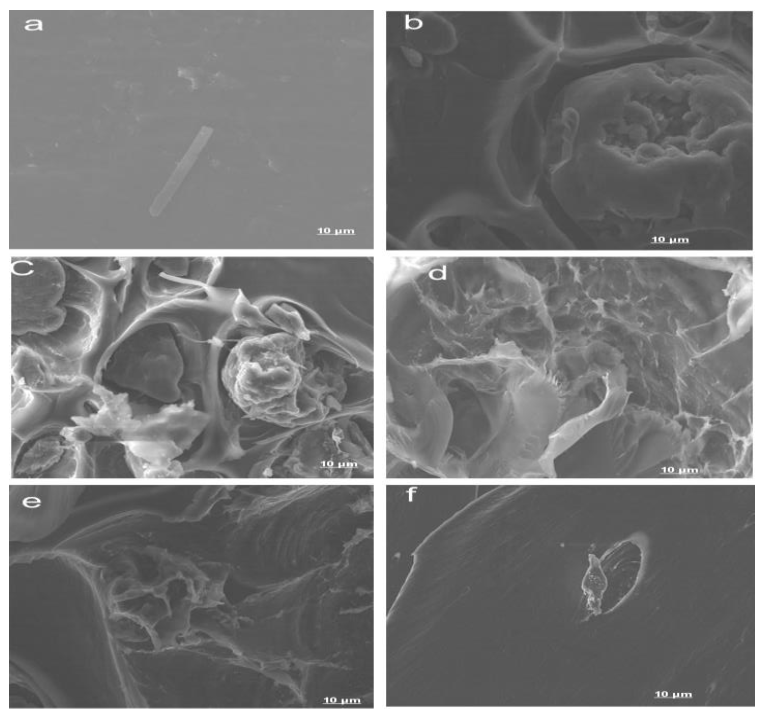Polymers 12 00592 g003