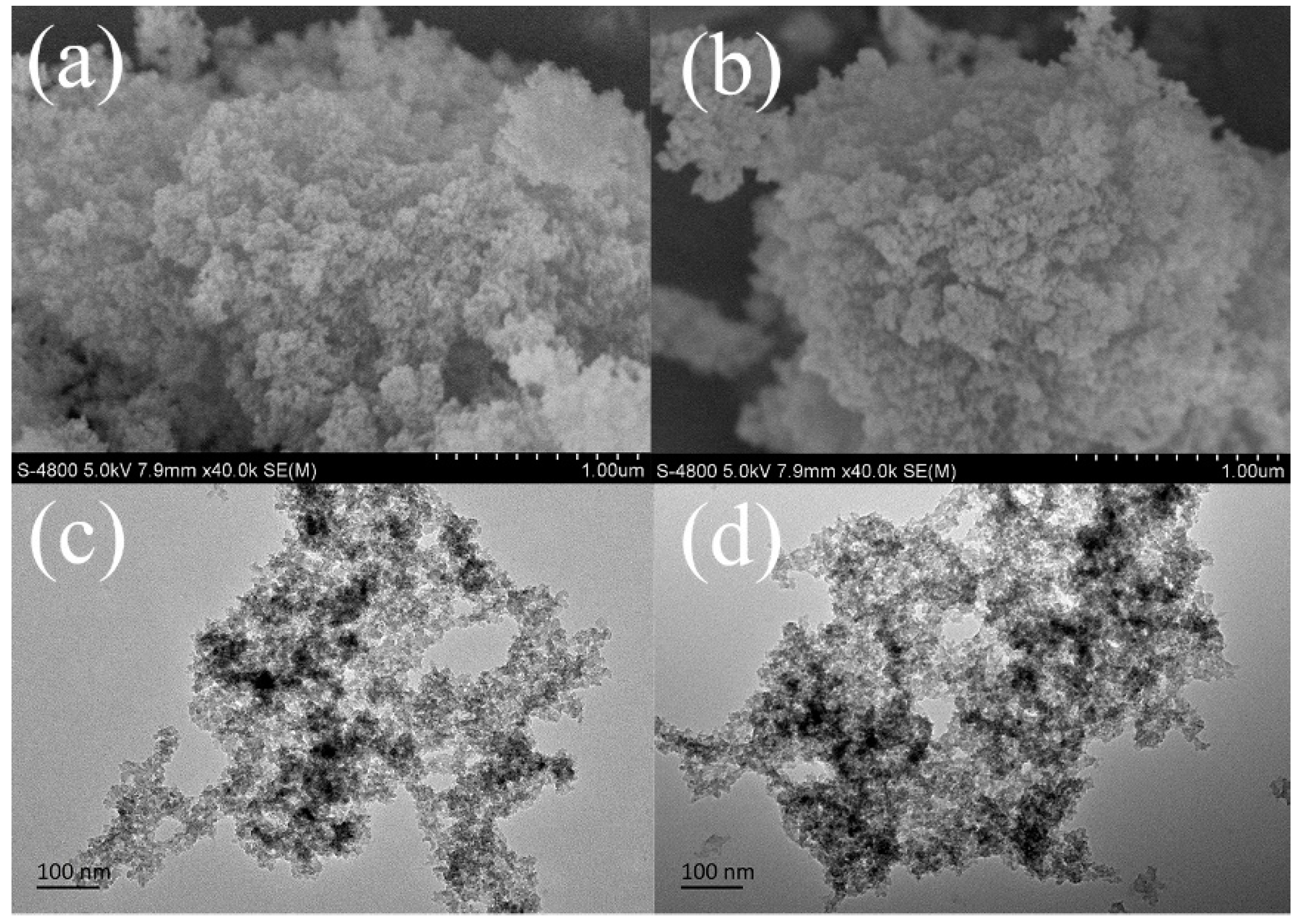 Polymers 12 00596 g002
