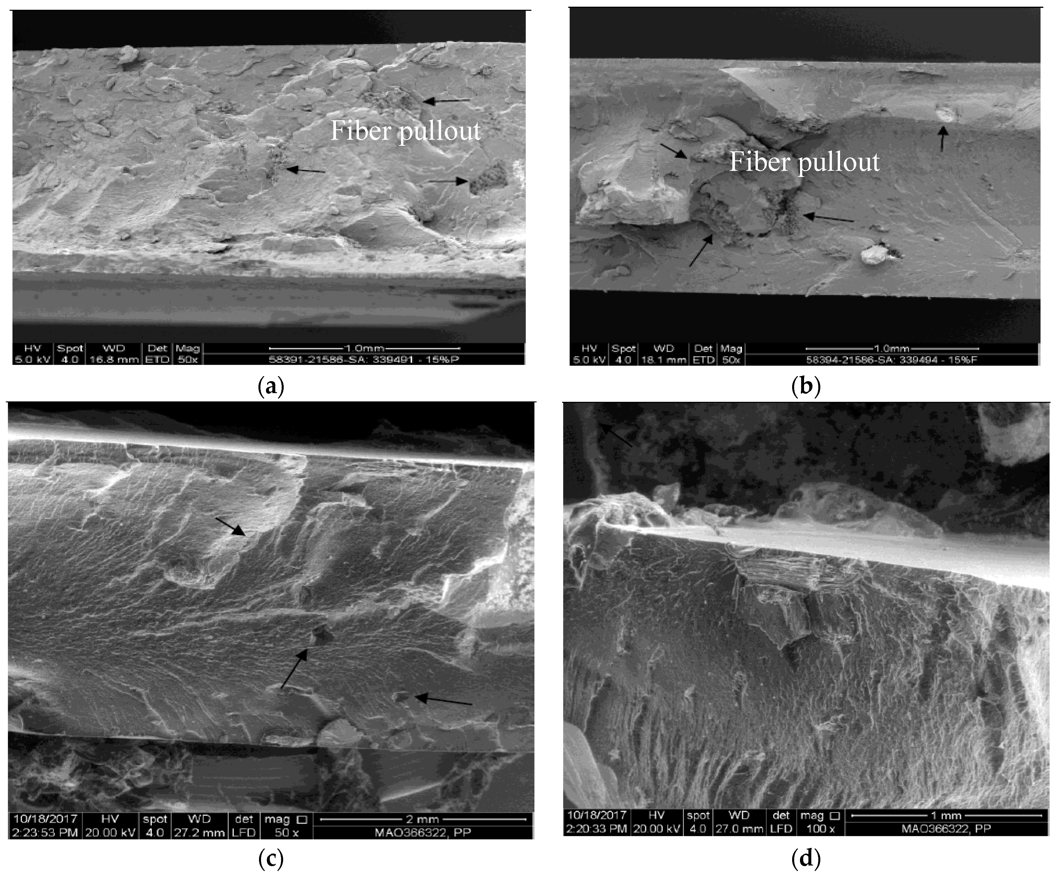 Polymers 12 00597 g008