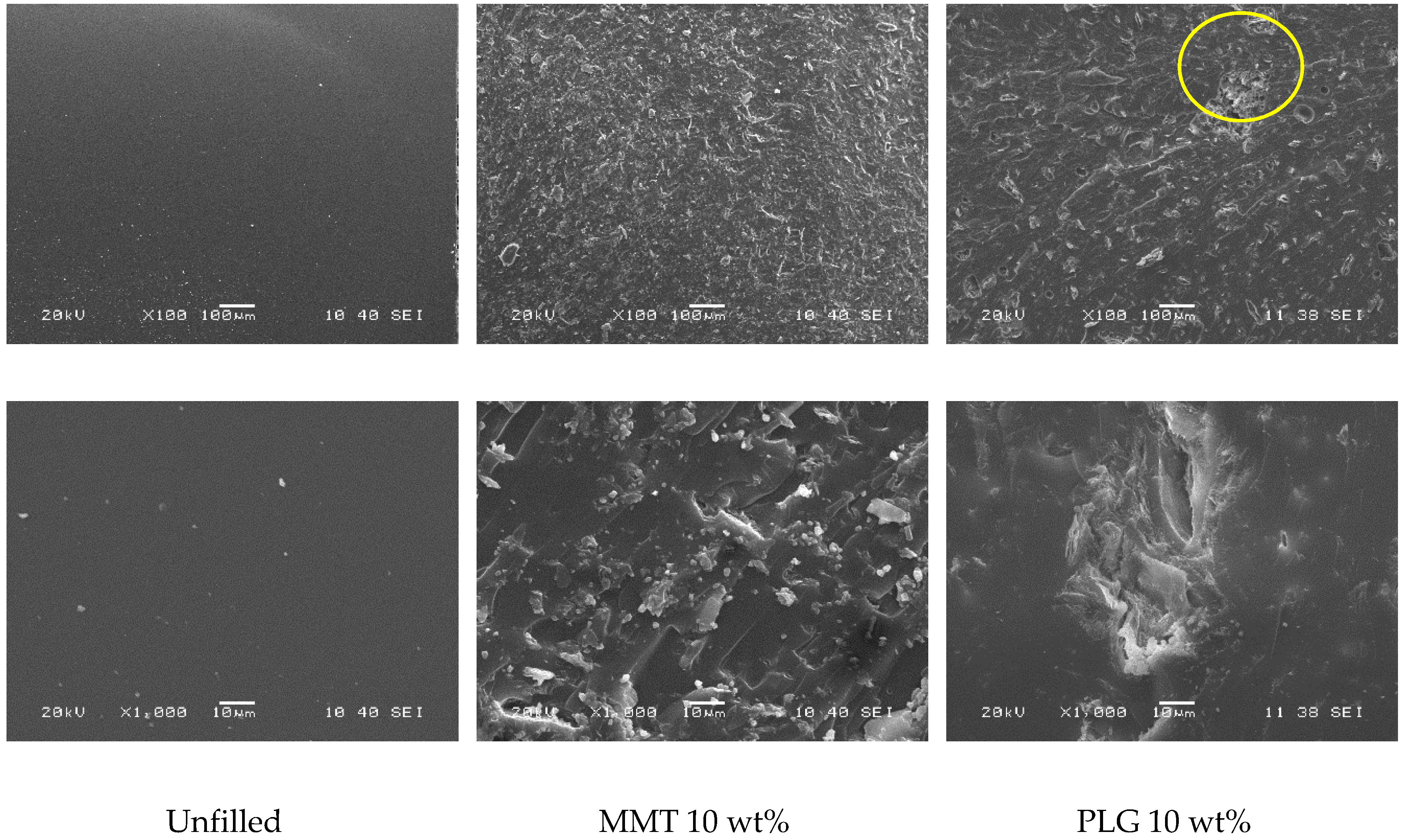 Polymers 12 00601 g005