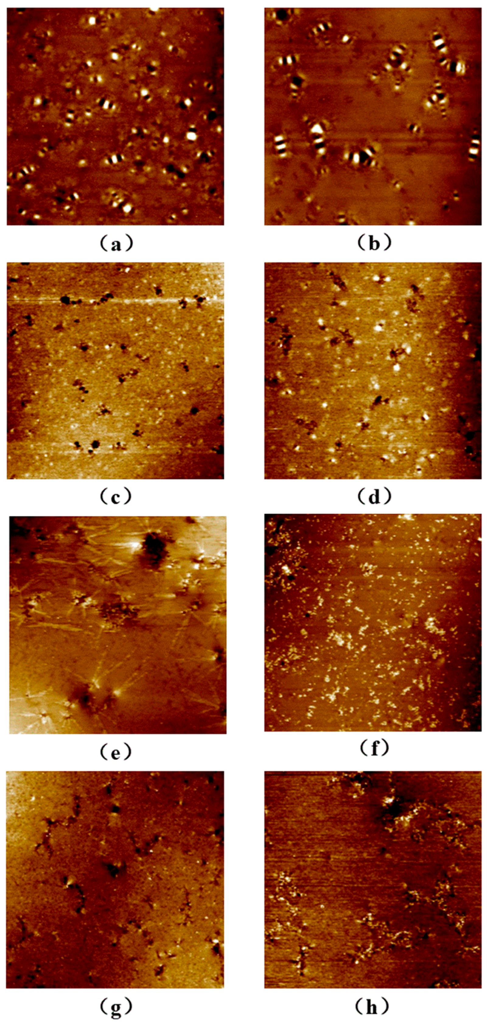 Polymers 12 00602 g006