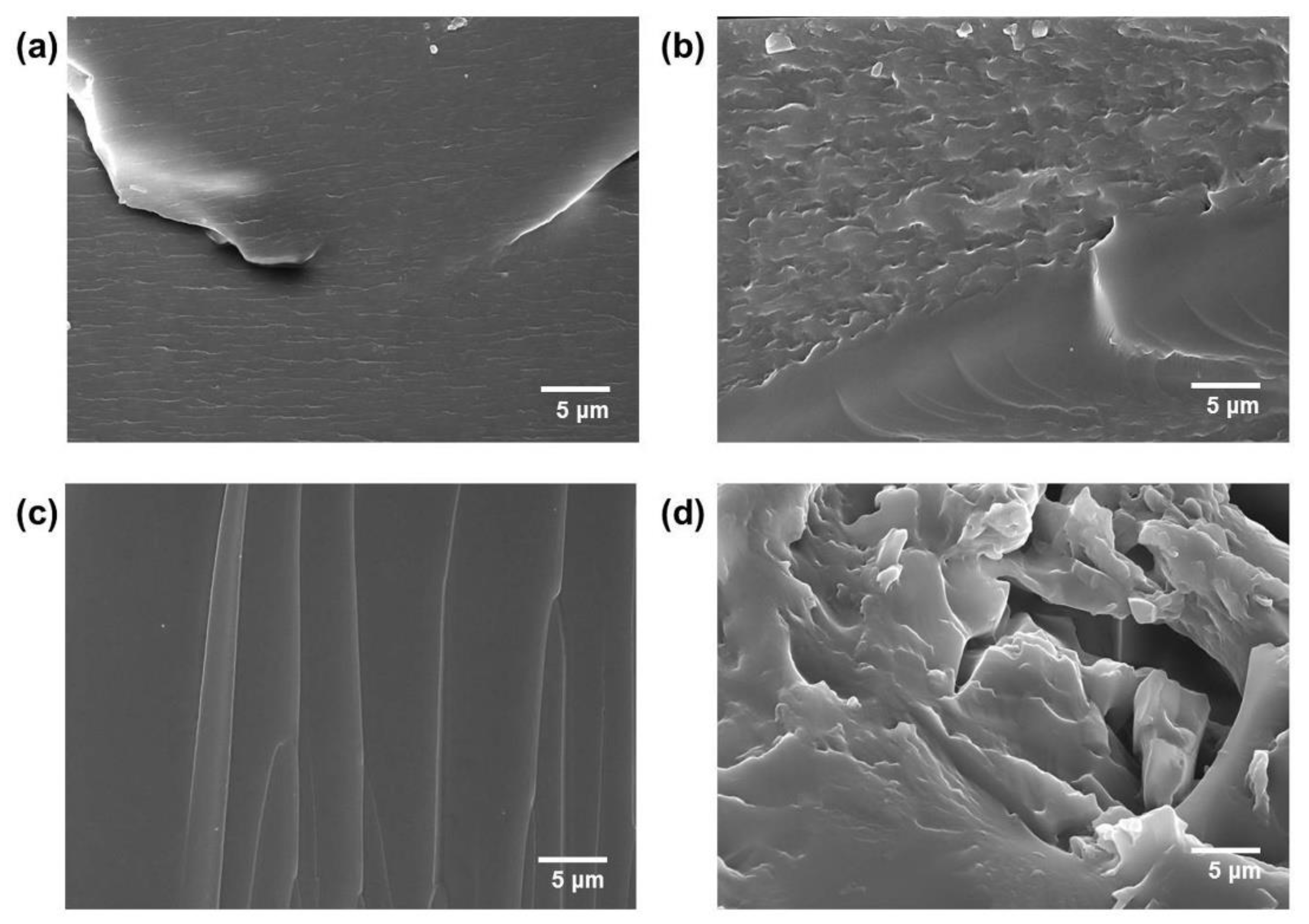 Polymers 12 00603 g005