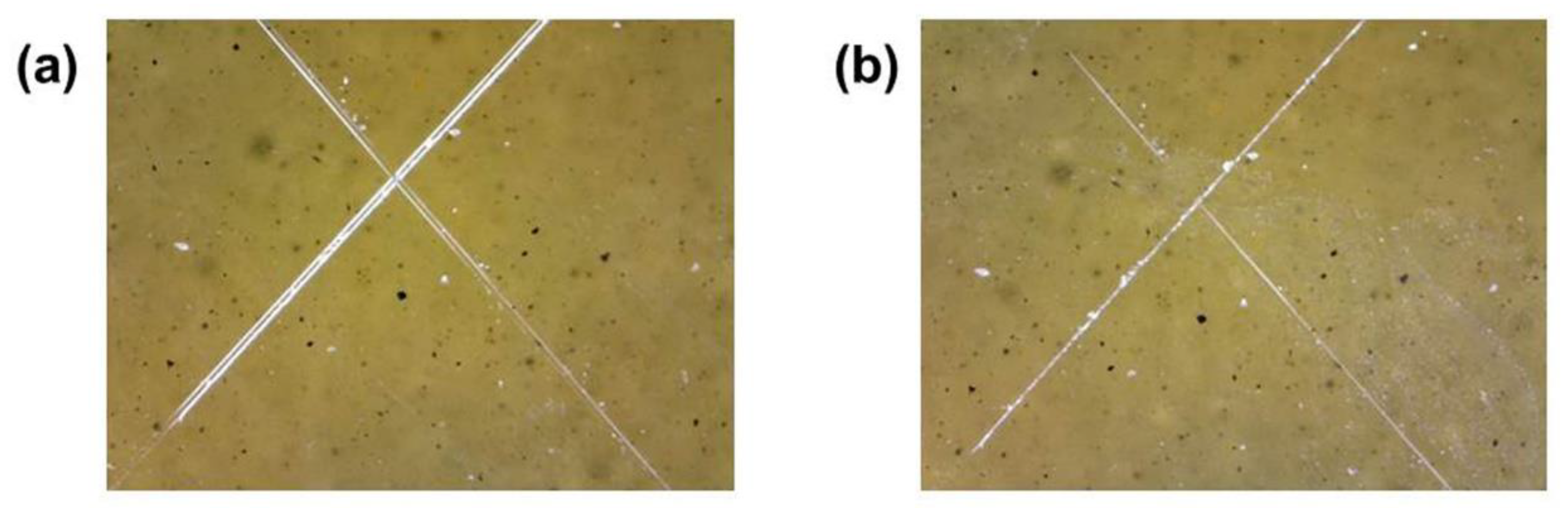 Polymers 12 00603 g006
