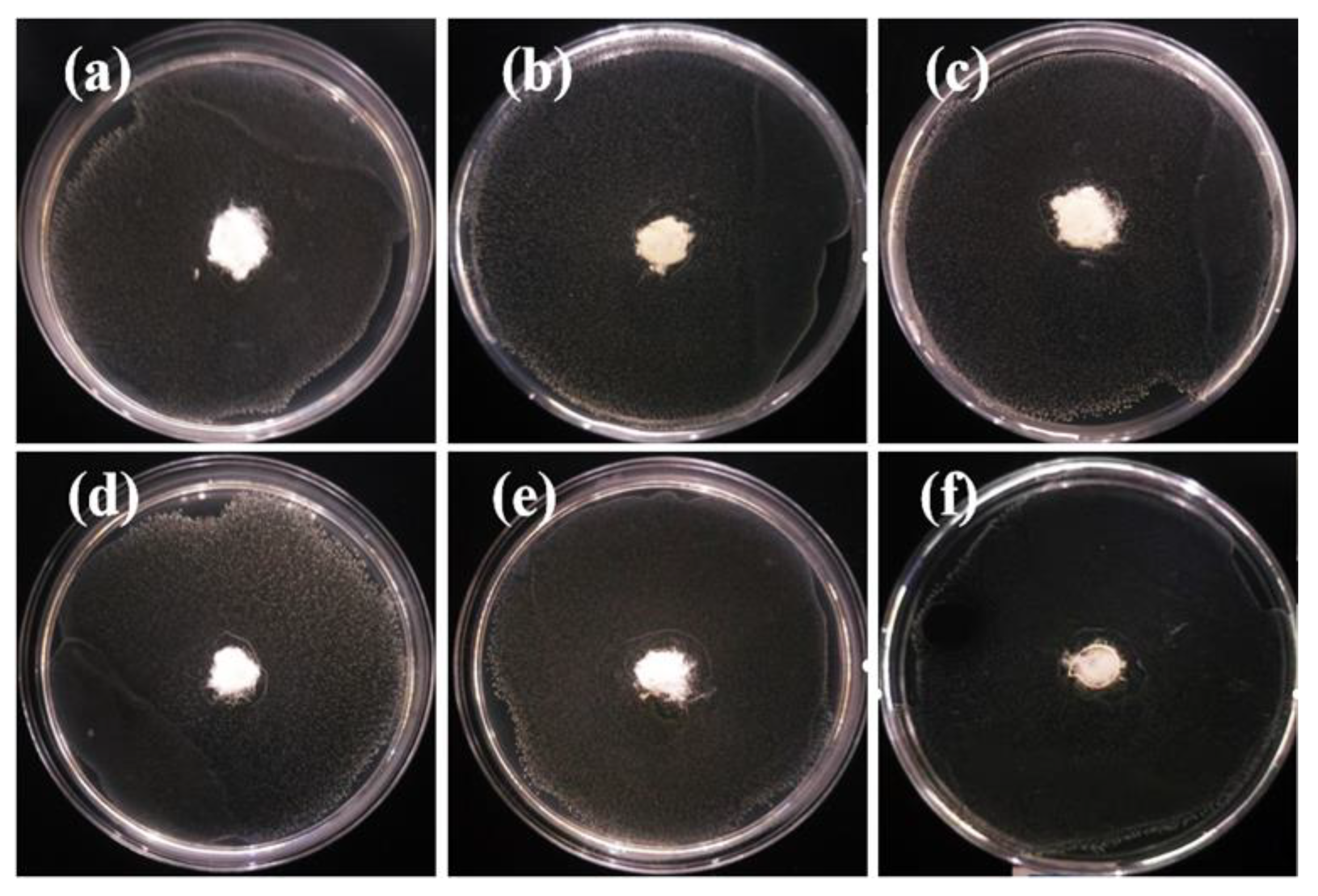 Polymers 12 00606 g009 Polymers 12 00606 g009