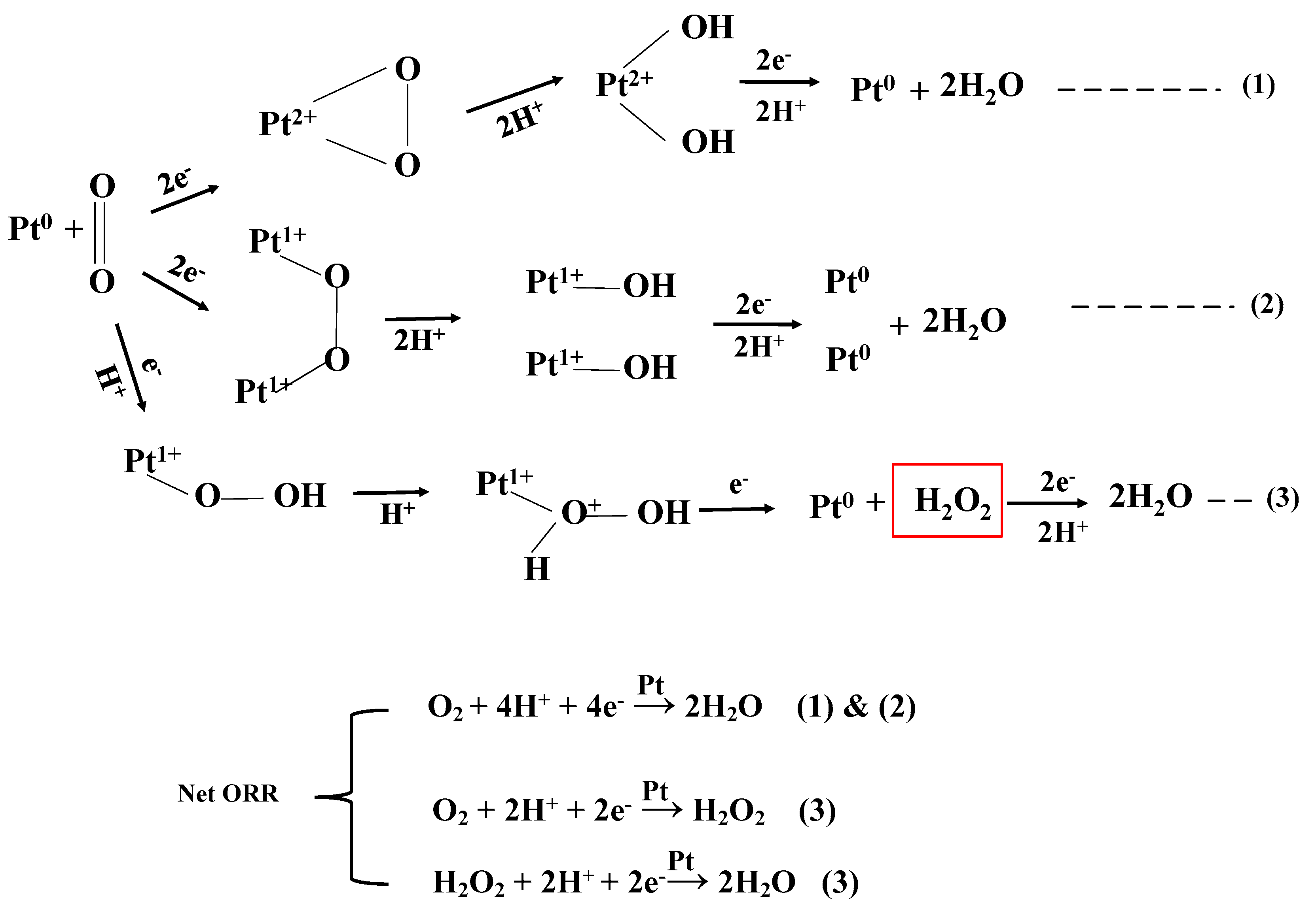 Polymers 12 00617 sch003 Polymers 12 00617 sch003